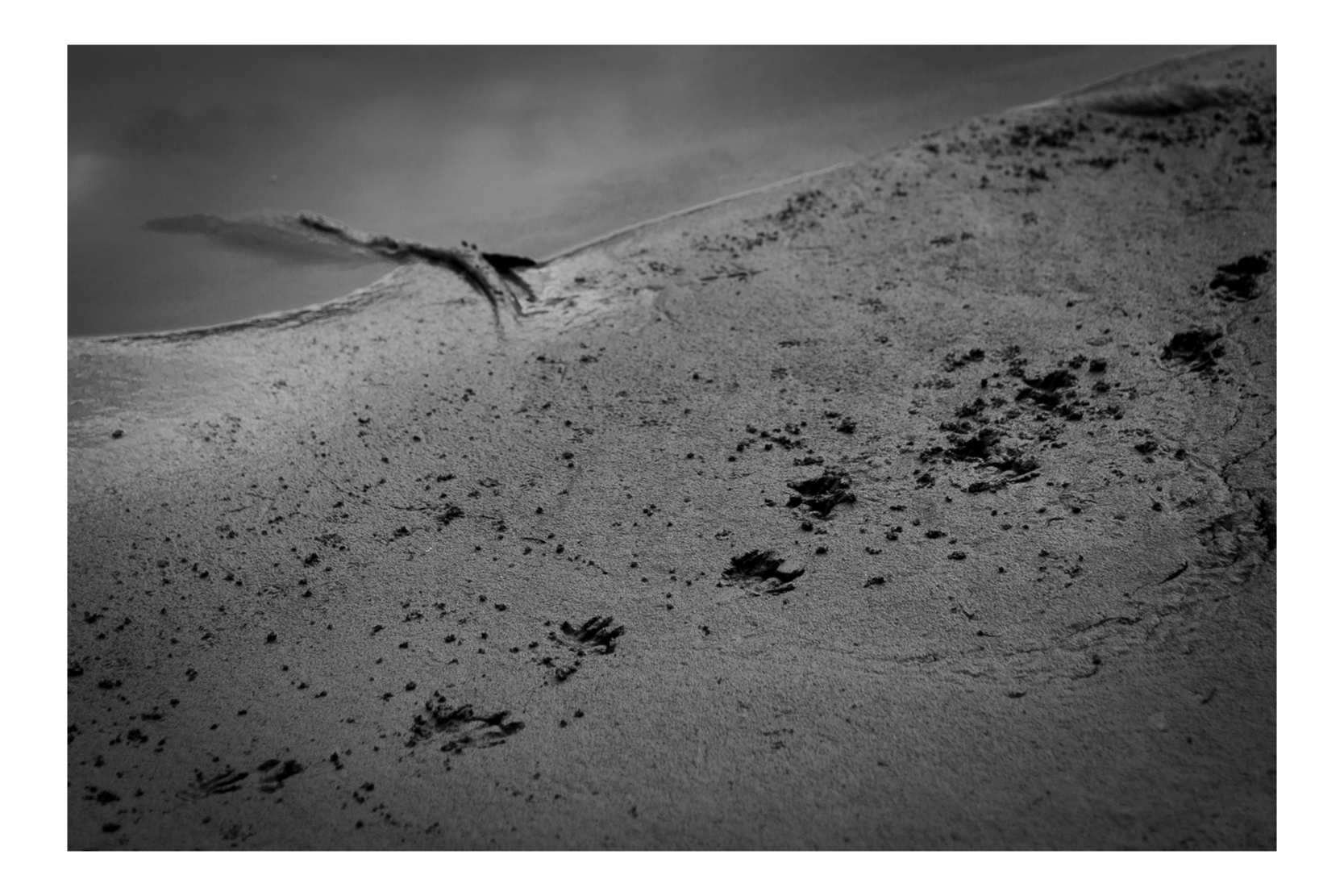 Footsteps