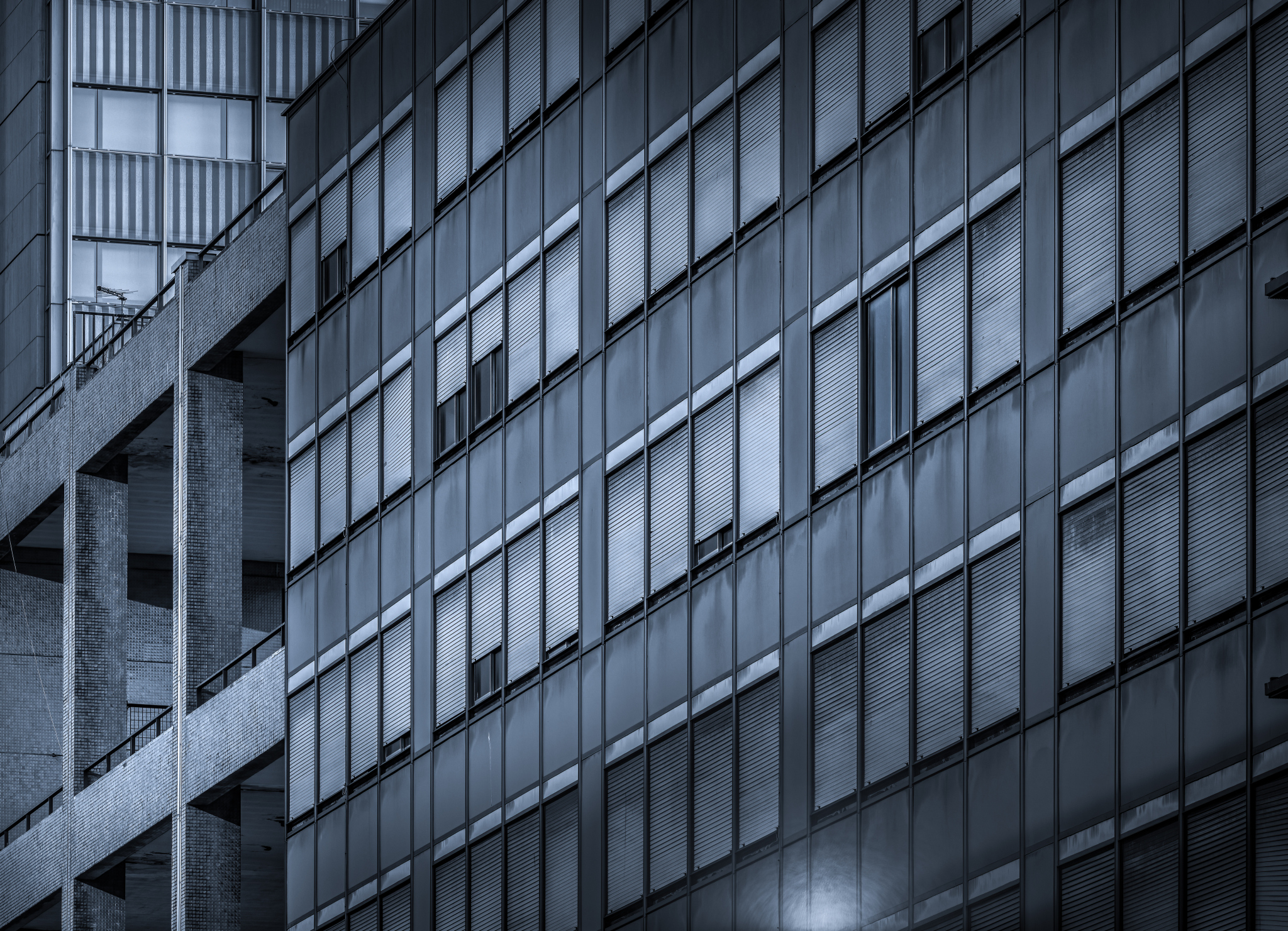 Cold urban surveyors