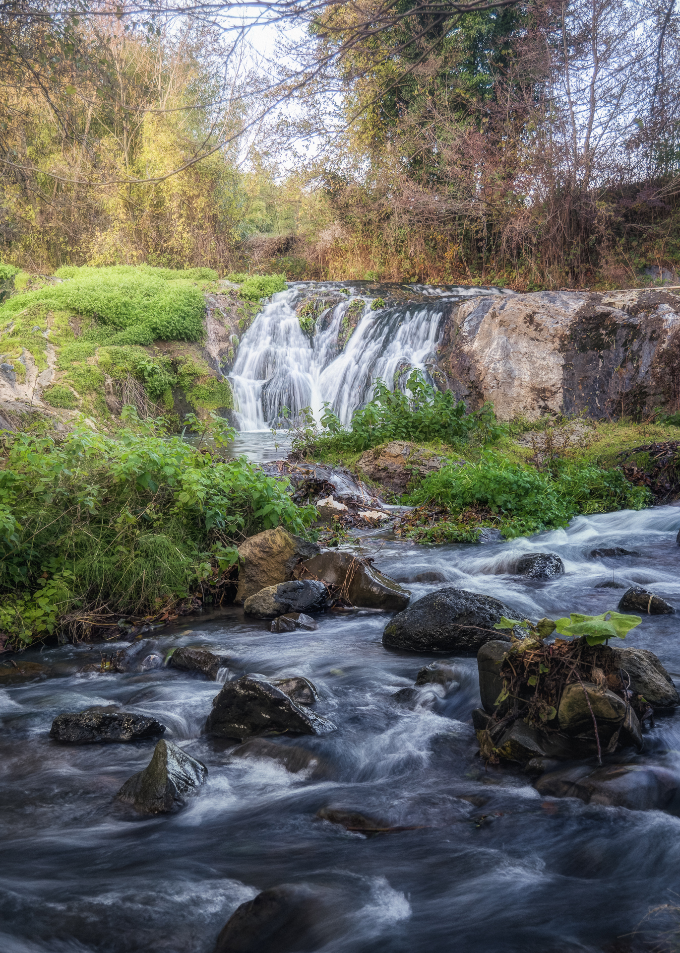 Riserva Naturale Regionale Selva del Lamone Farnese VT