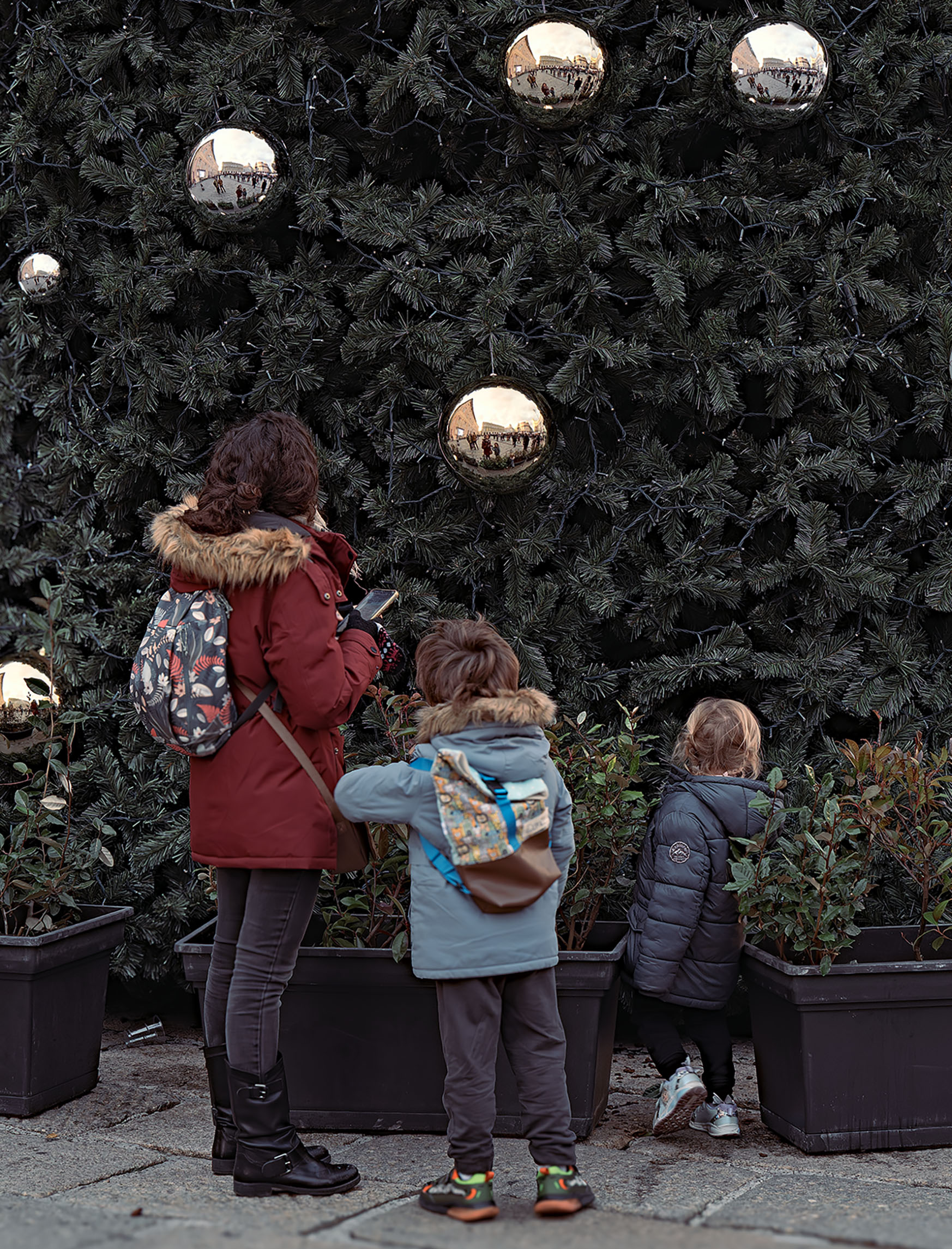 Christmas tree magic