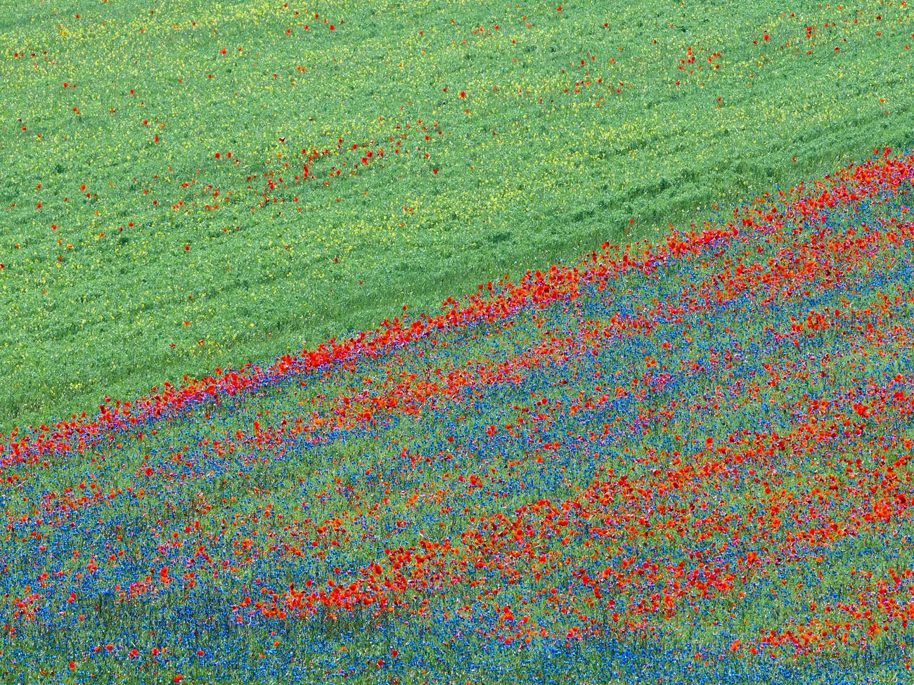 Geometria di Castelluccio 2