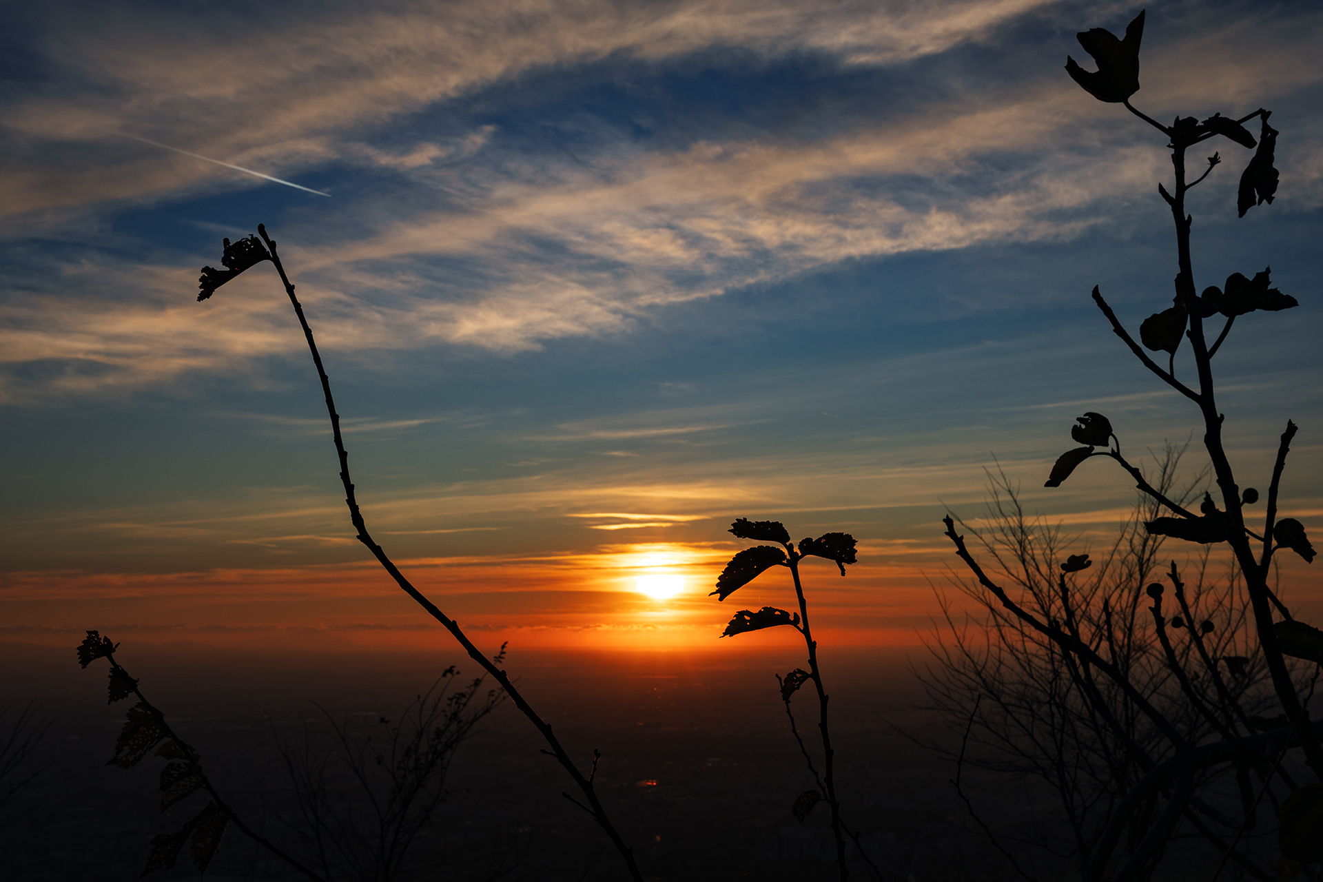 Nothing Like The Sun