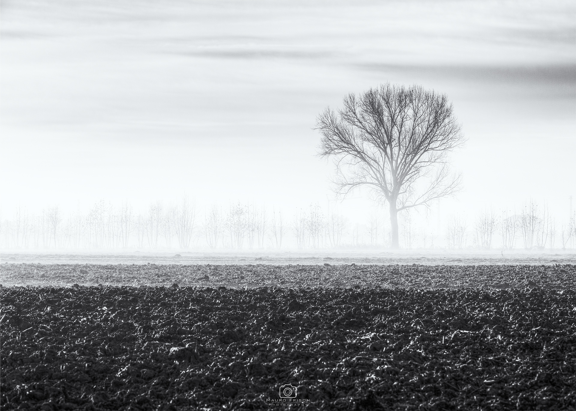 Untitled Photo