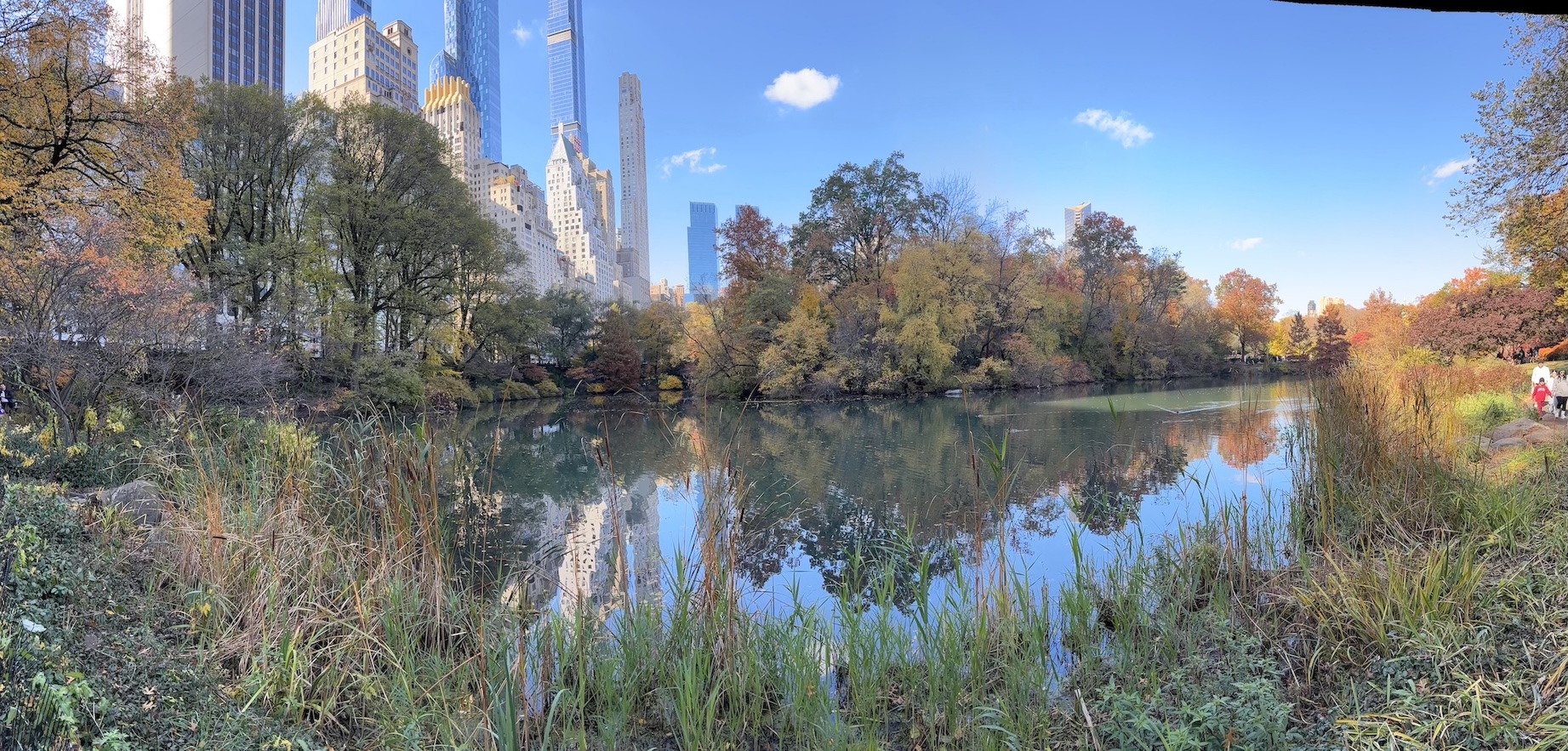 Central Park, New York