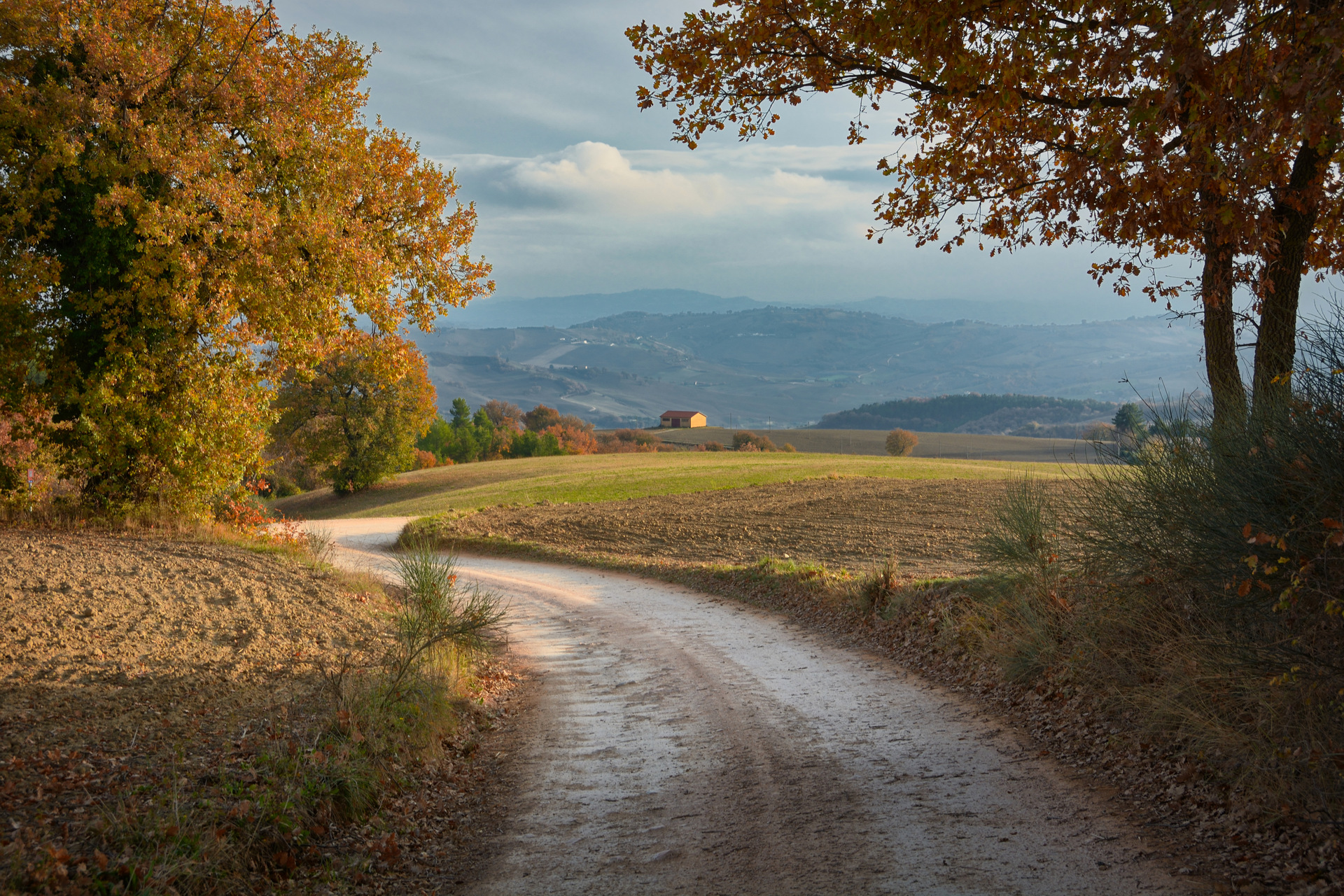 Campagna di San Severino Marche (MC)