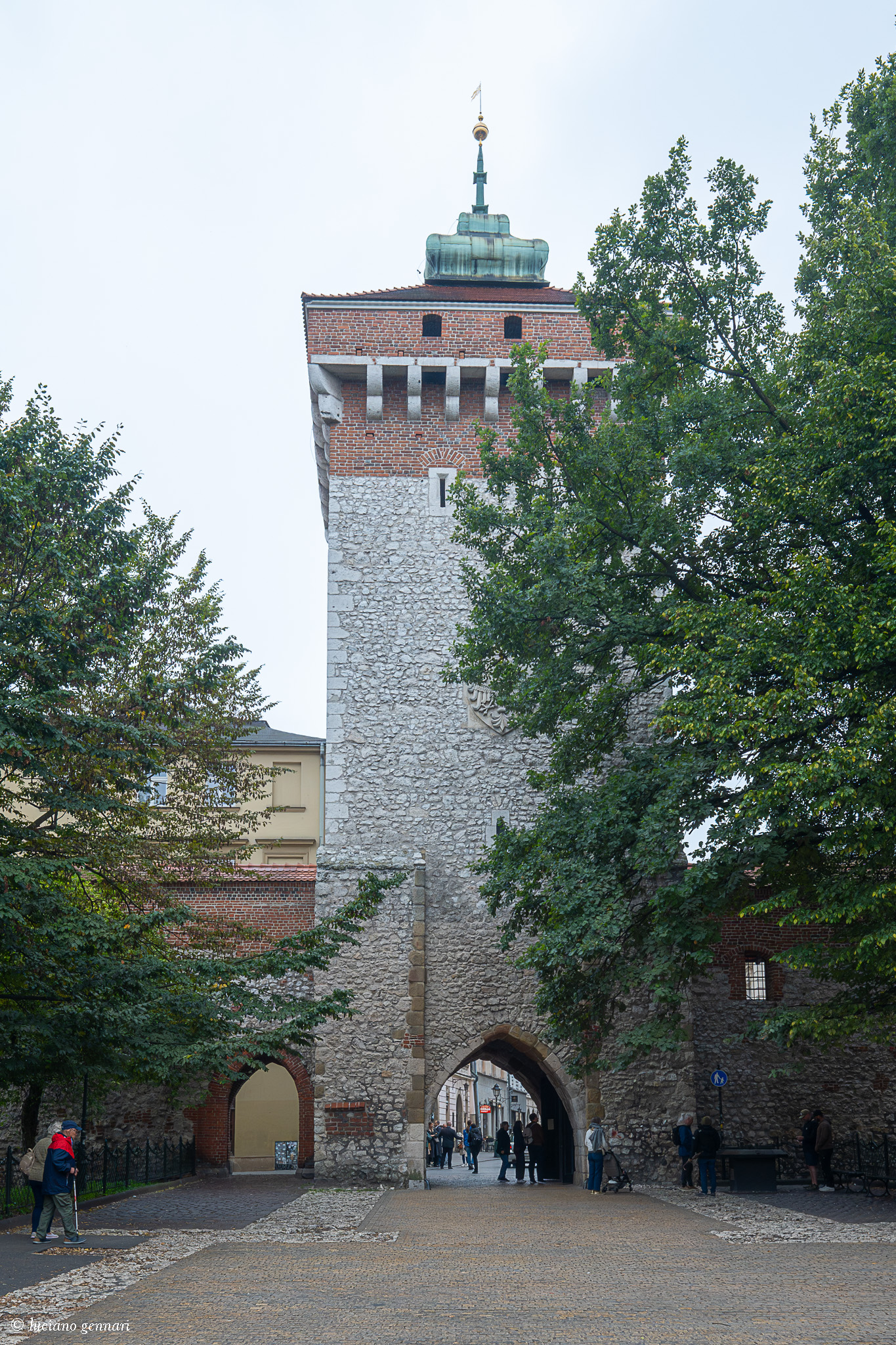 Untitled Photo