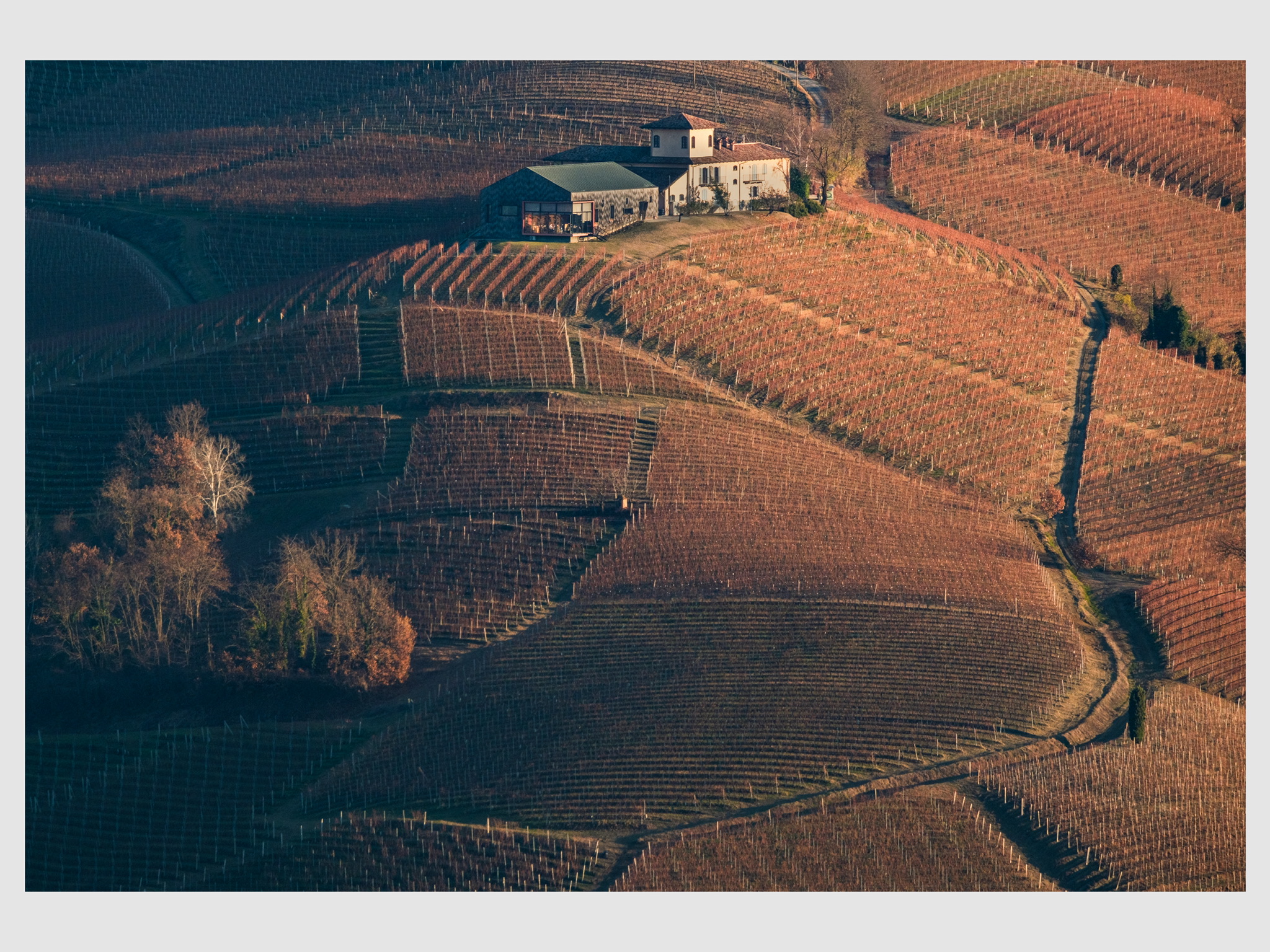 Langhe