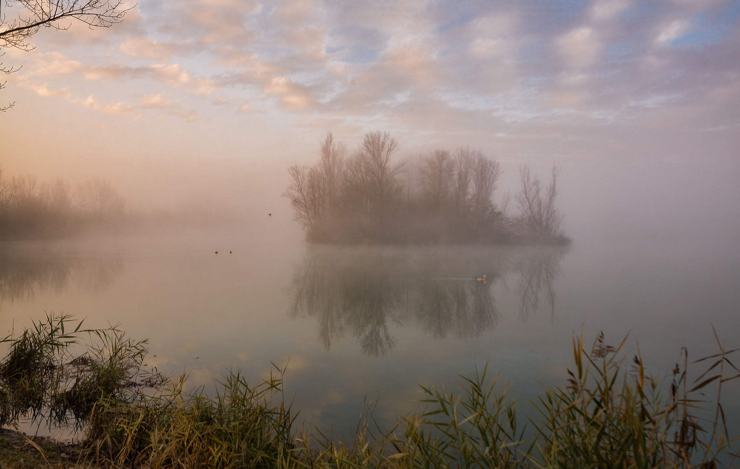 Luci dell'alba sul lago