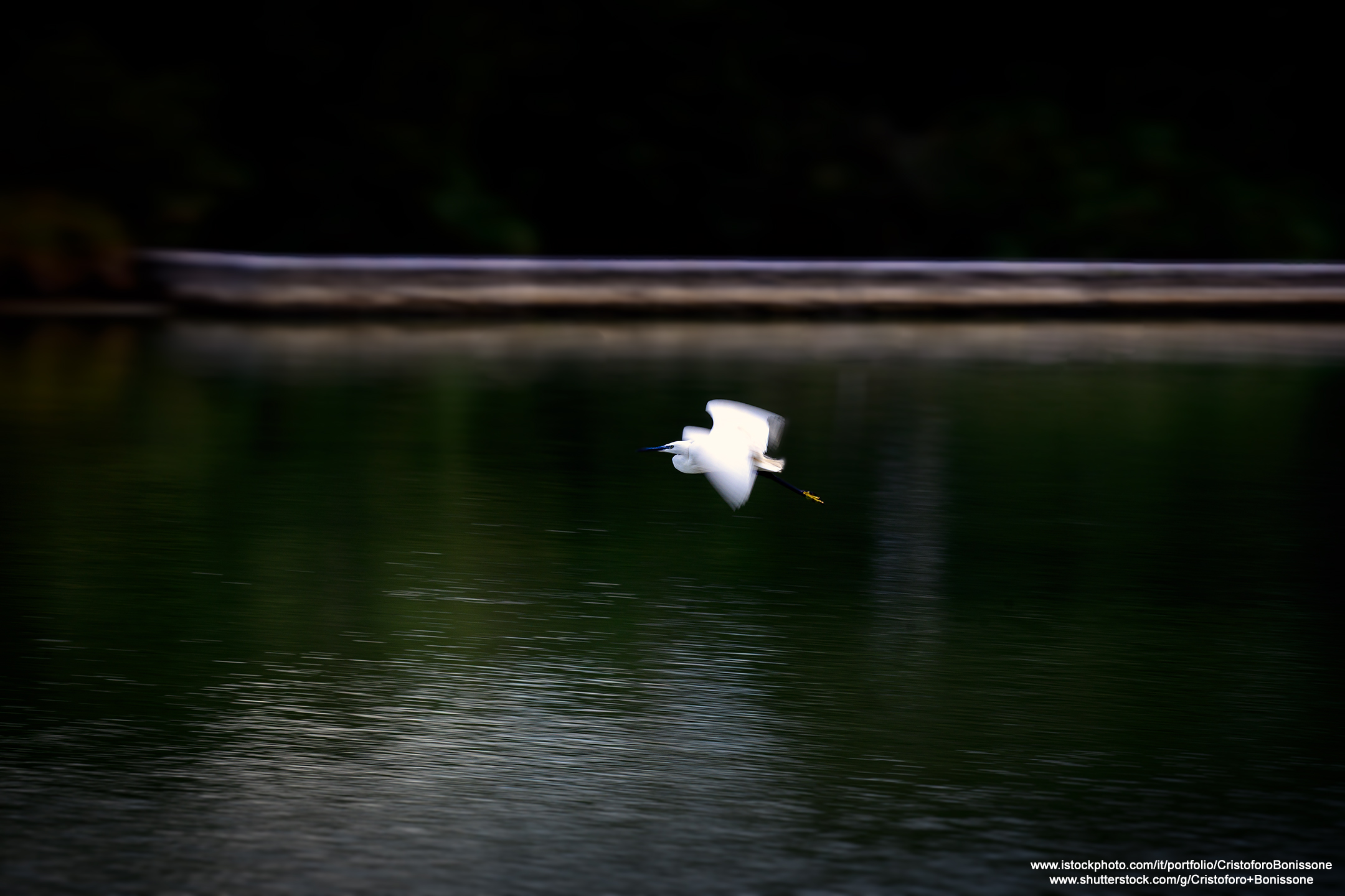 Comacchio Valley 29 2024