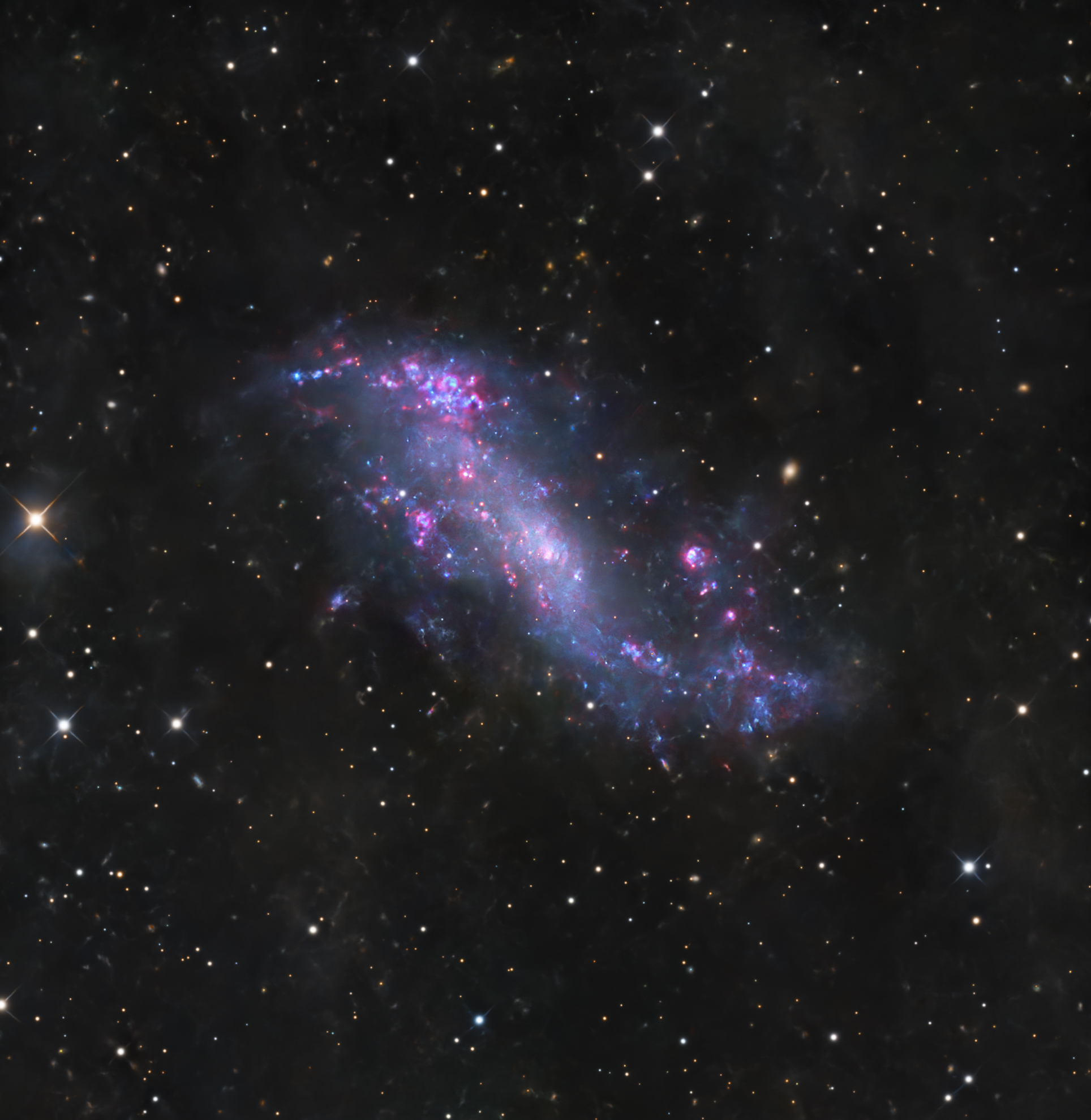 ic2574 Coddington's Nebula and IFN