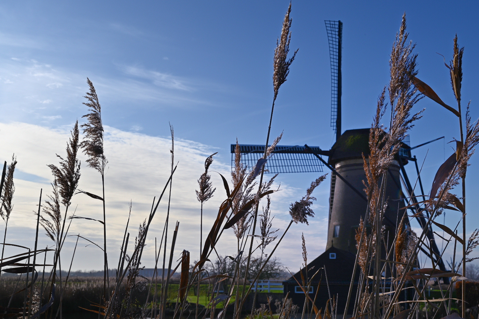The windmills of Kinderdijk