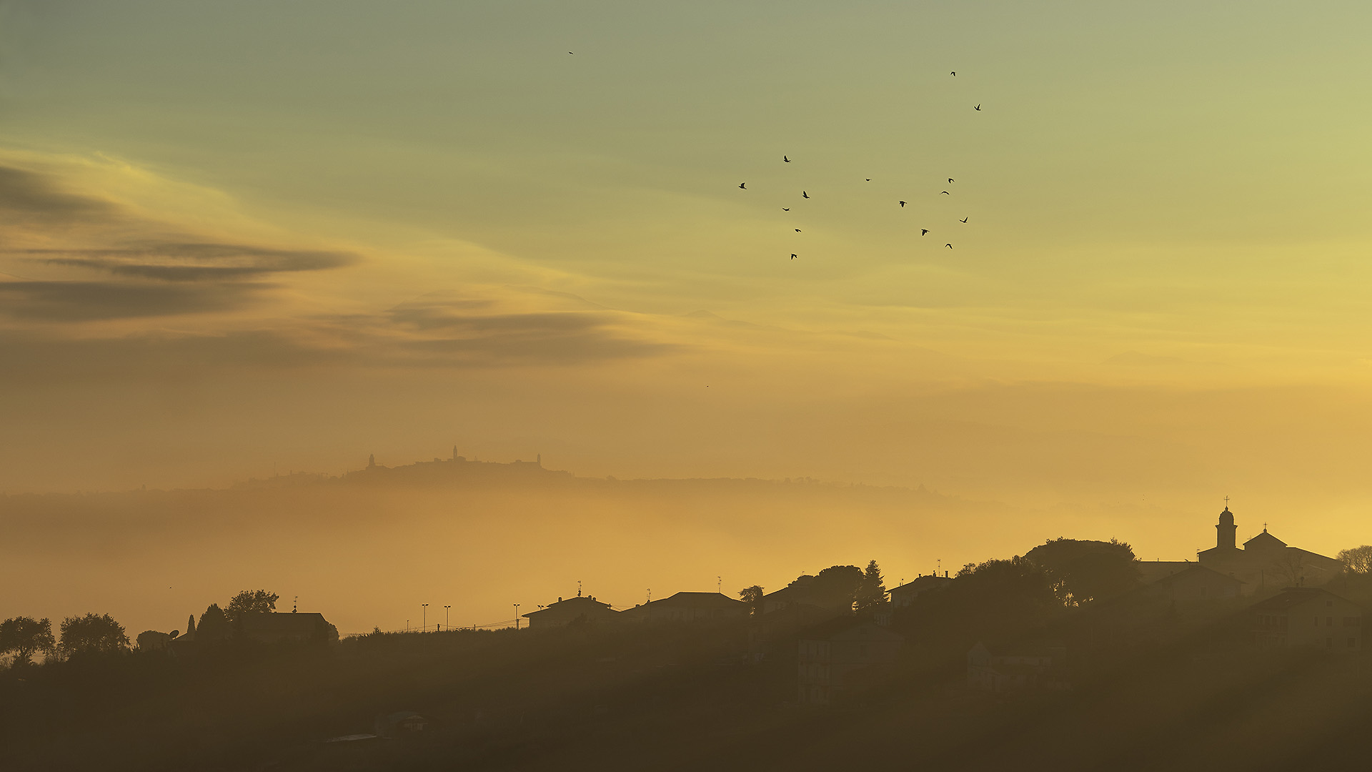 December Sunset #1