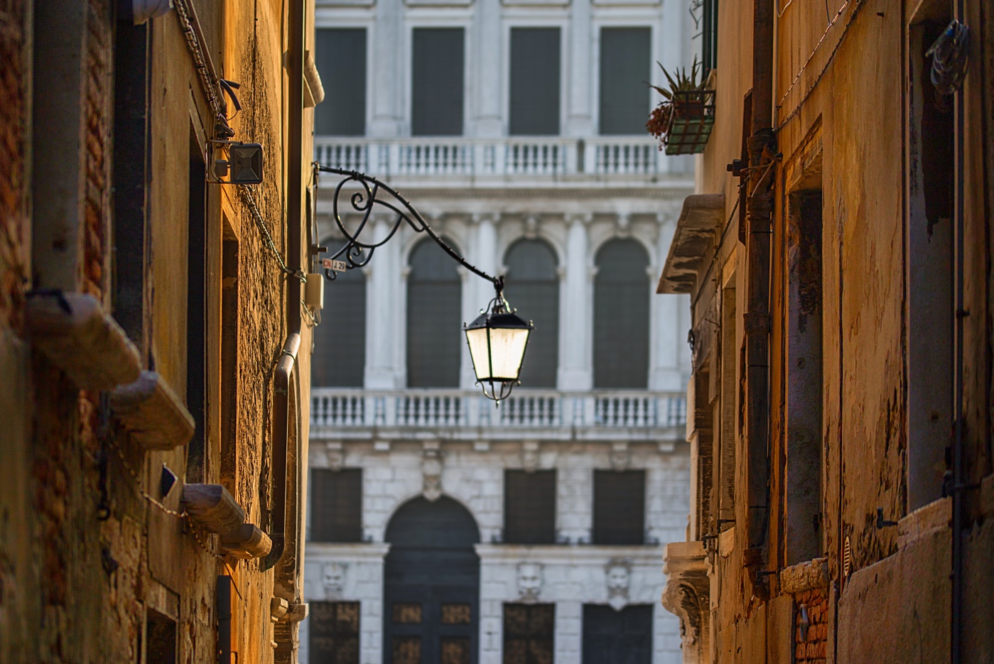 un po' di Venezia...