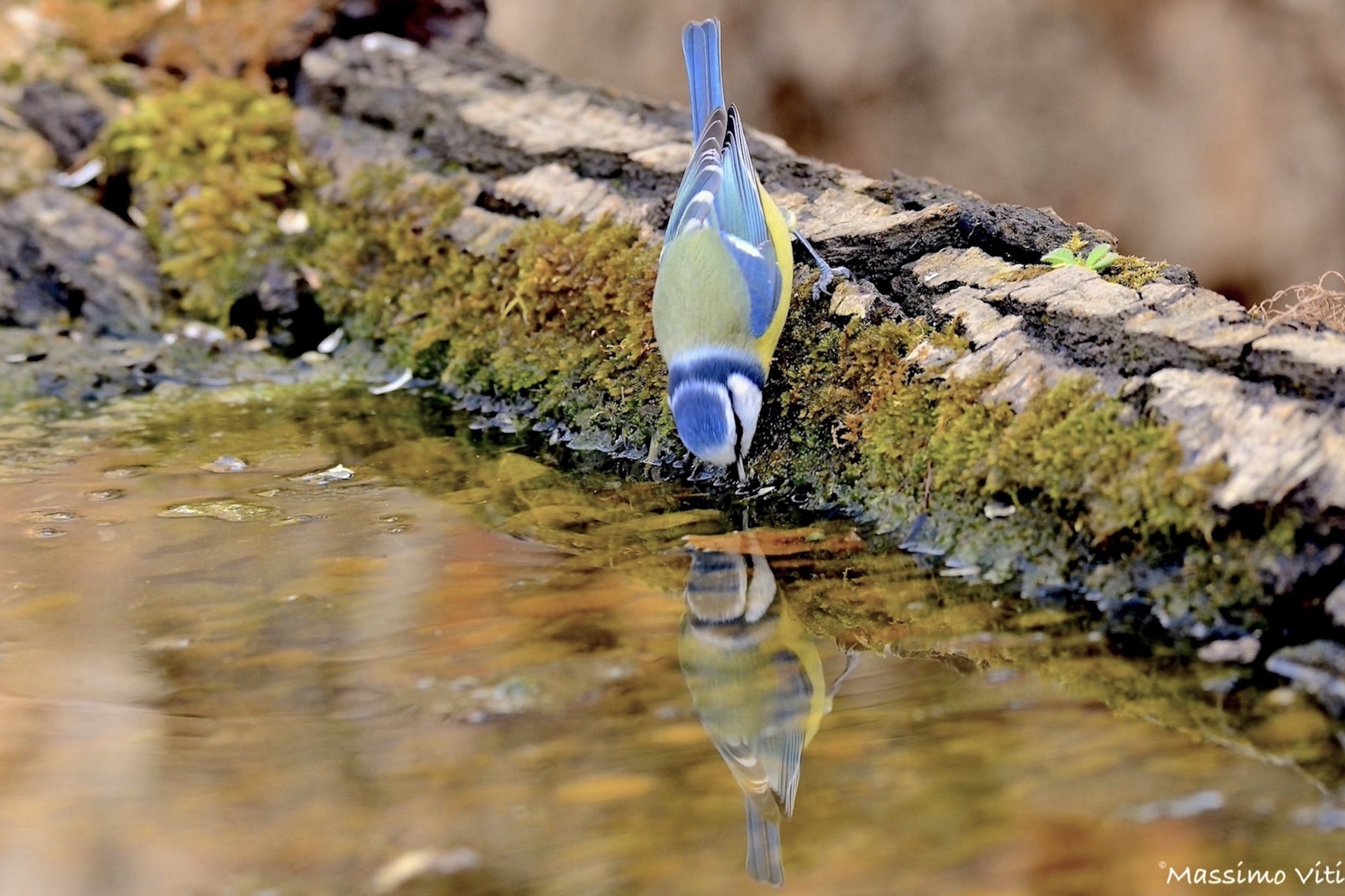 Reflected ...