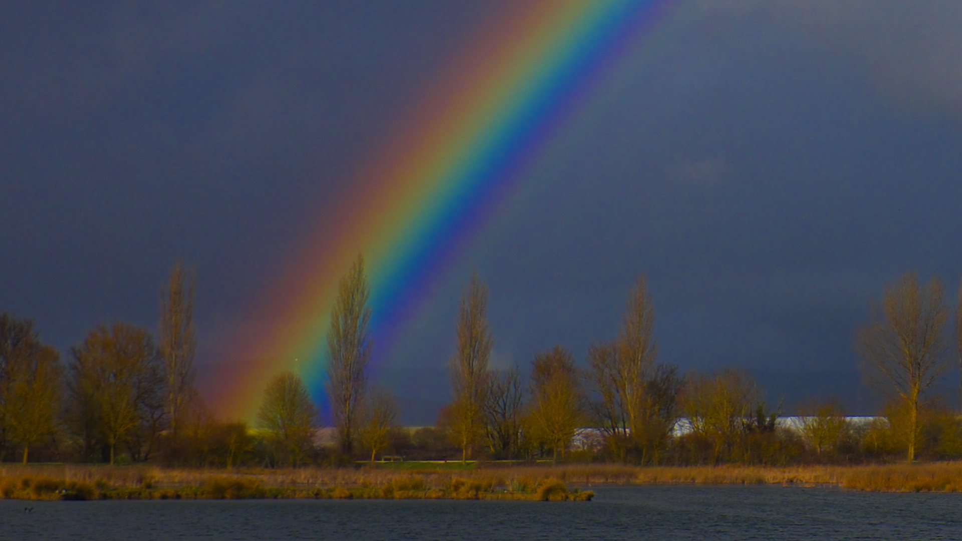 Arcoiris en el humedal