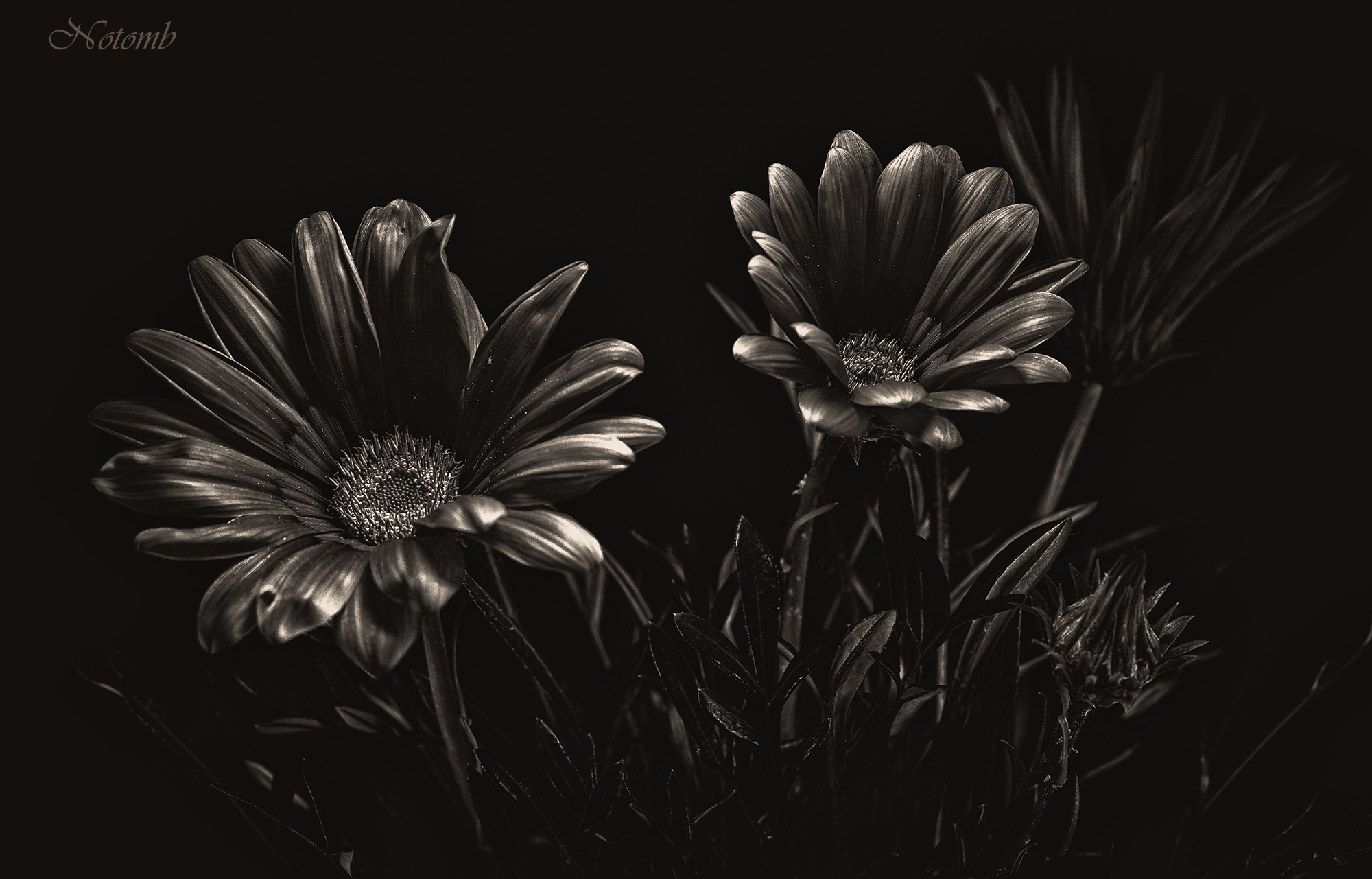 Metal Flowers