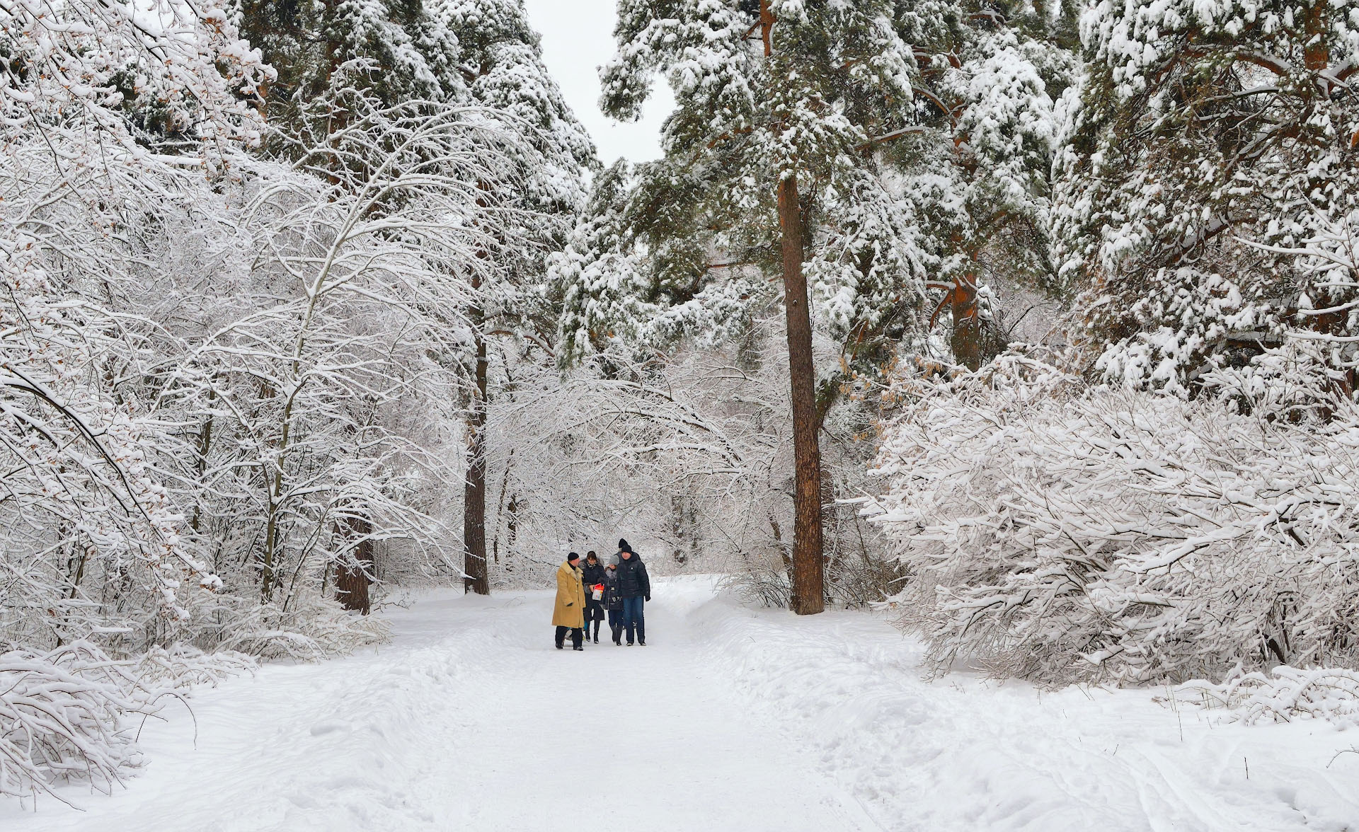 Quattro passi per il parco invernale