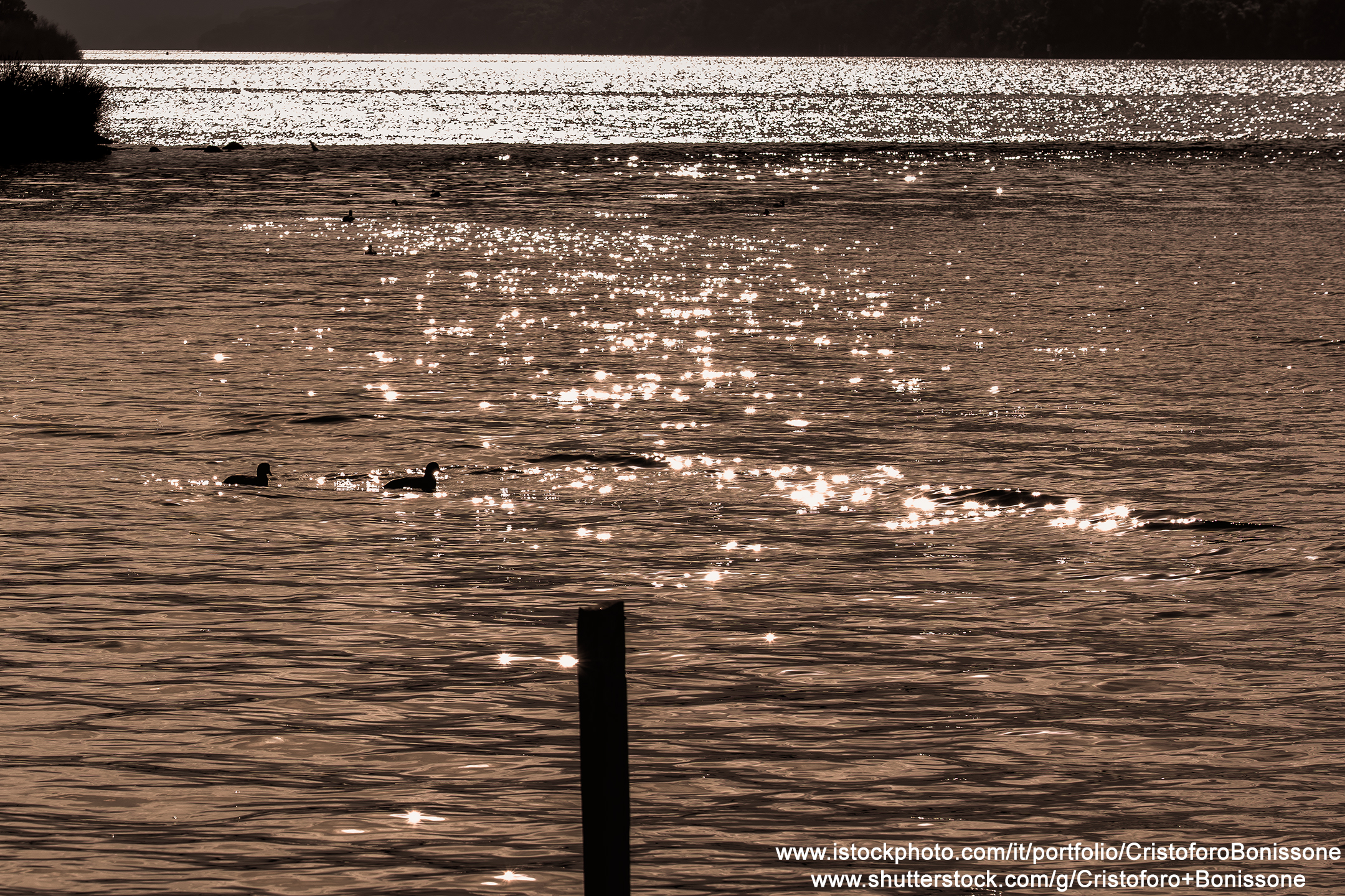 Under the Sabaudia bridge
