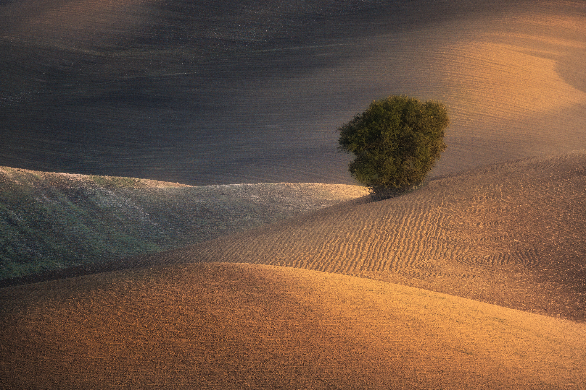 Roots in silence
