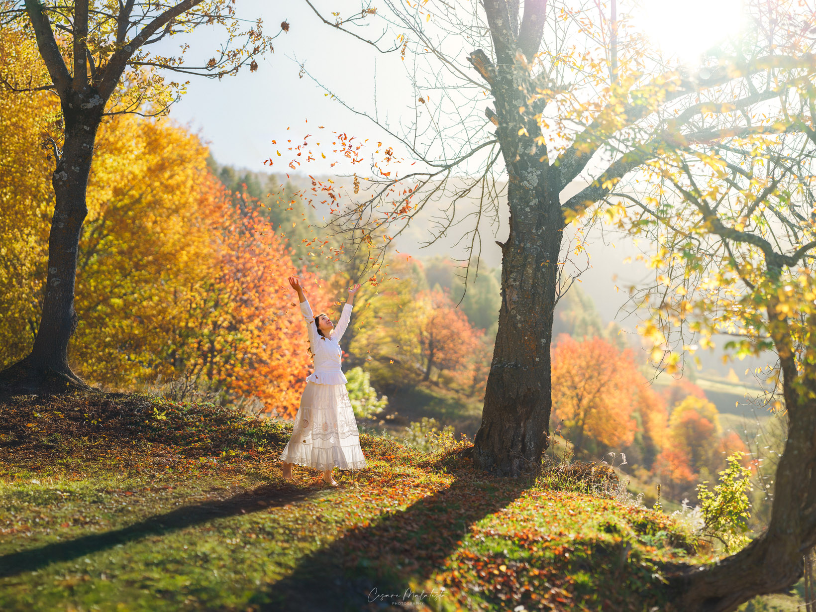 Autumn