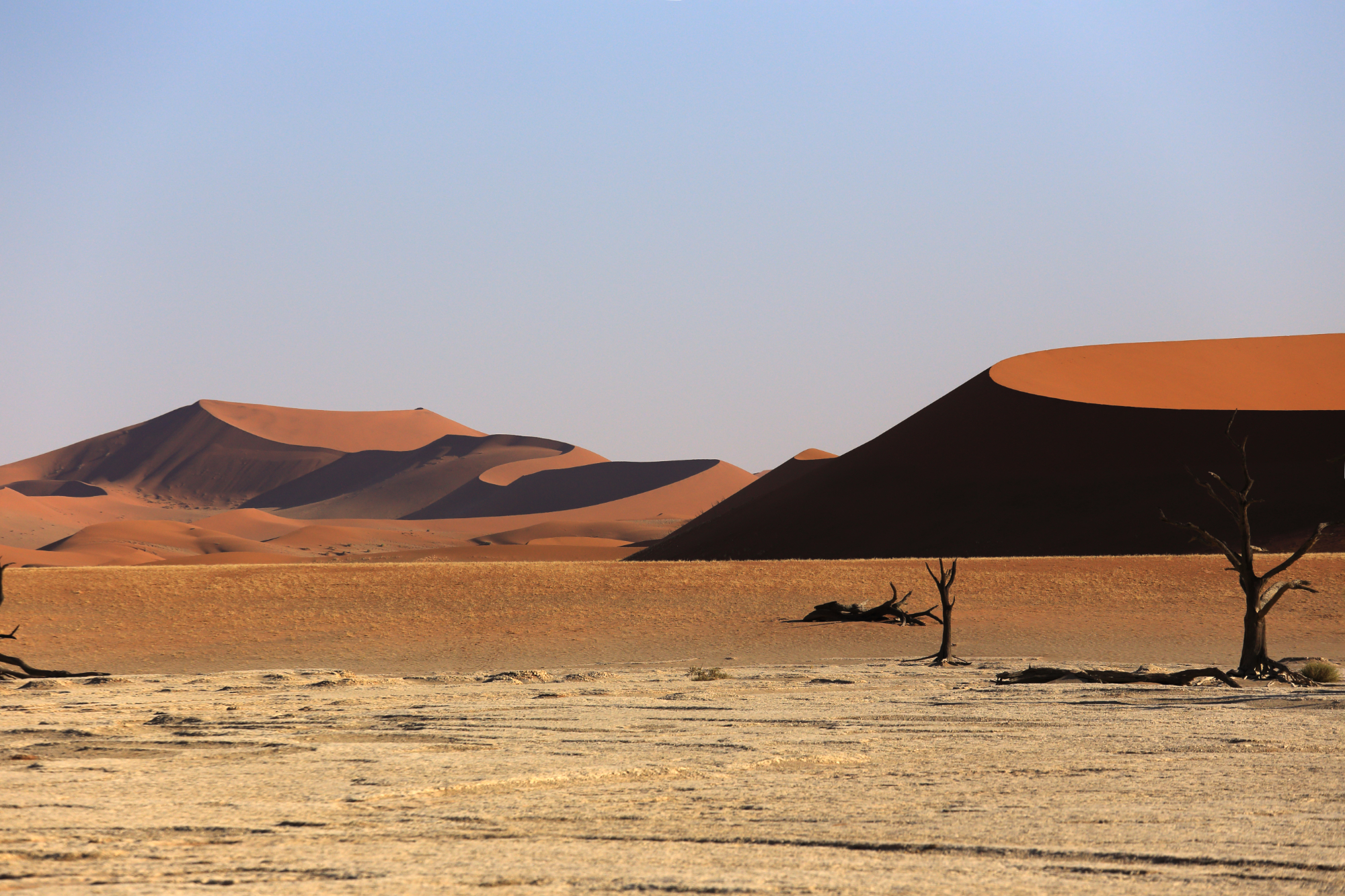 Deadvlei