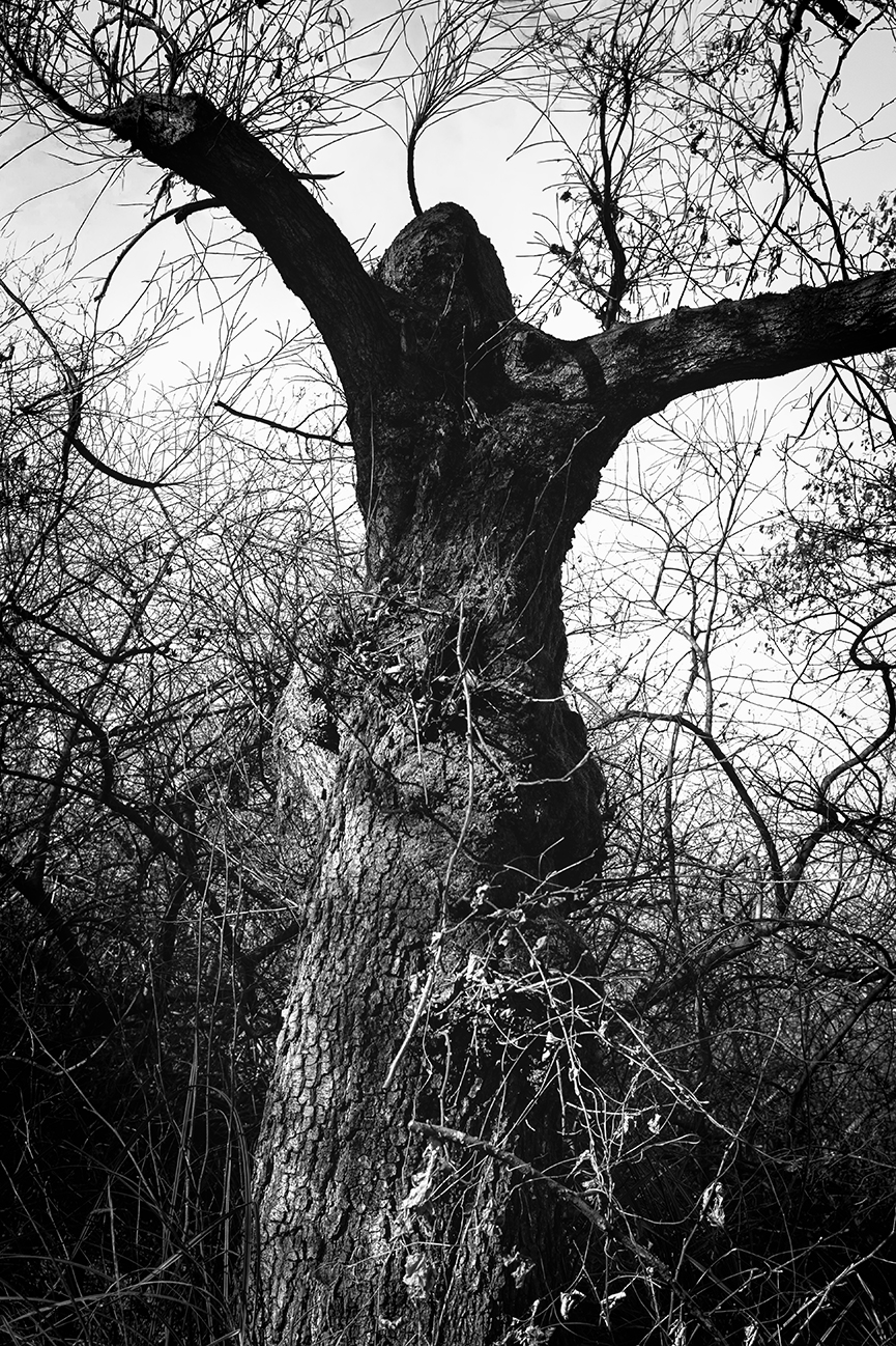 Untitled Photo
