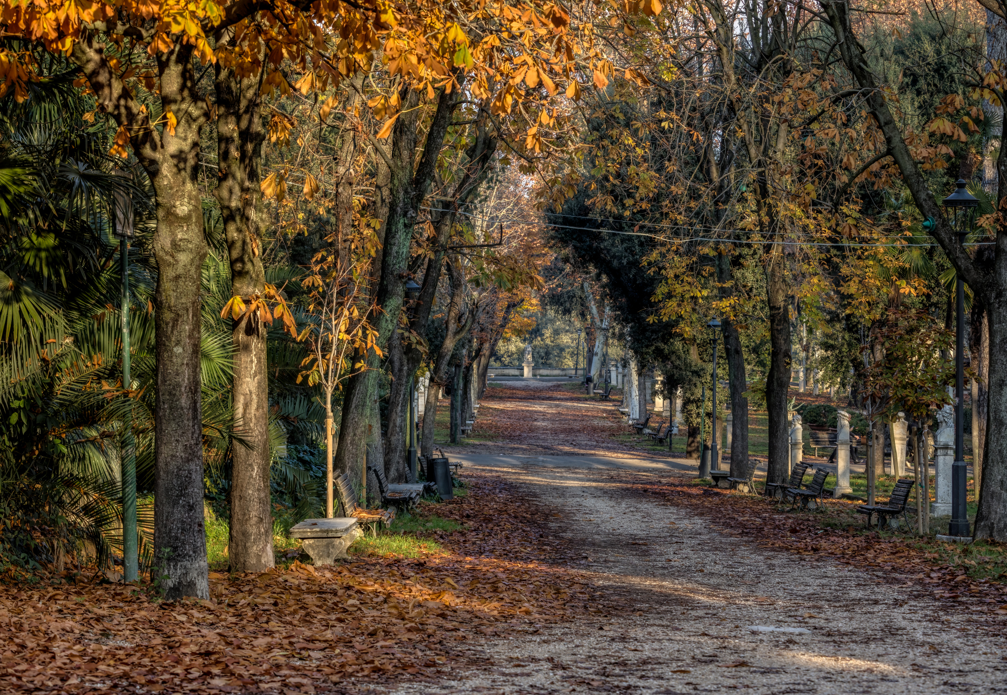 Op. 8 No. 4 - RV 297