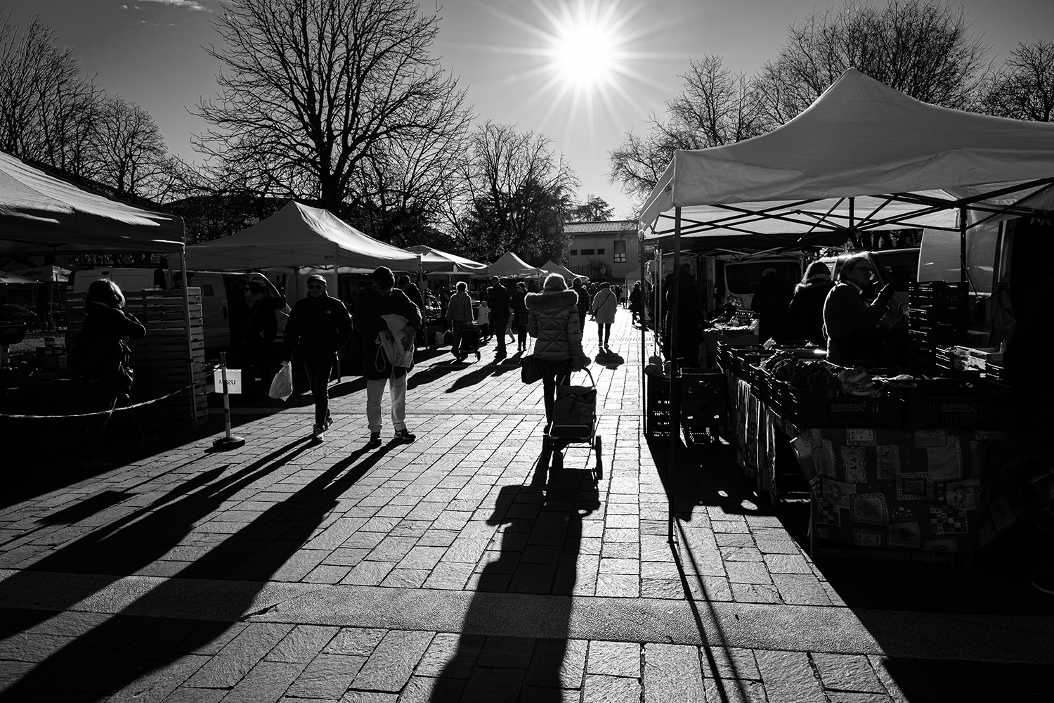 Controluce - prova con Z6III