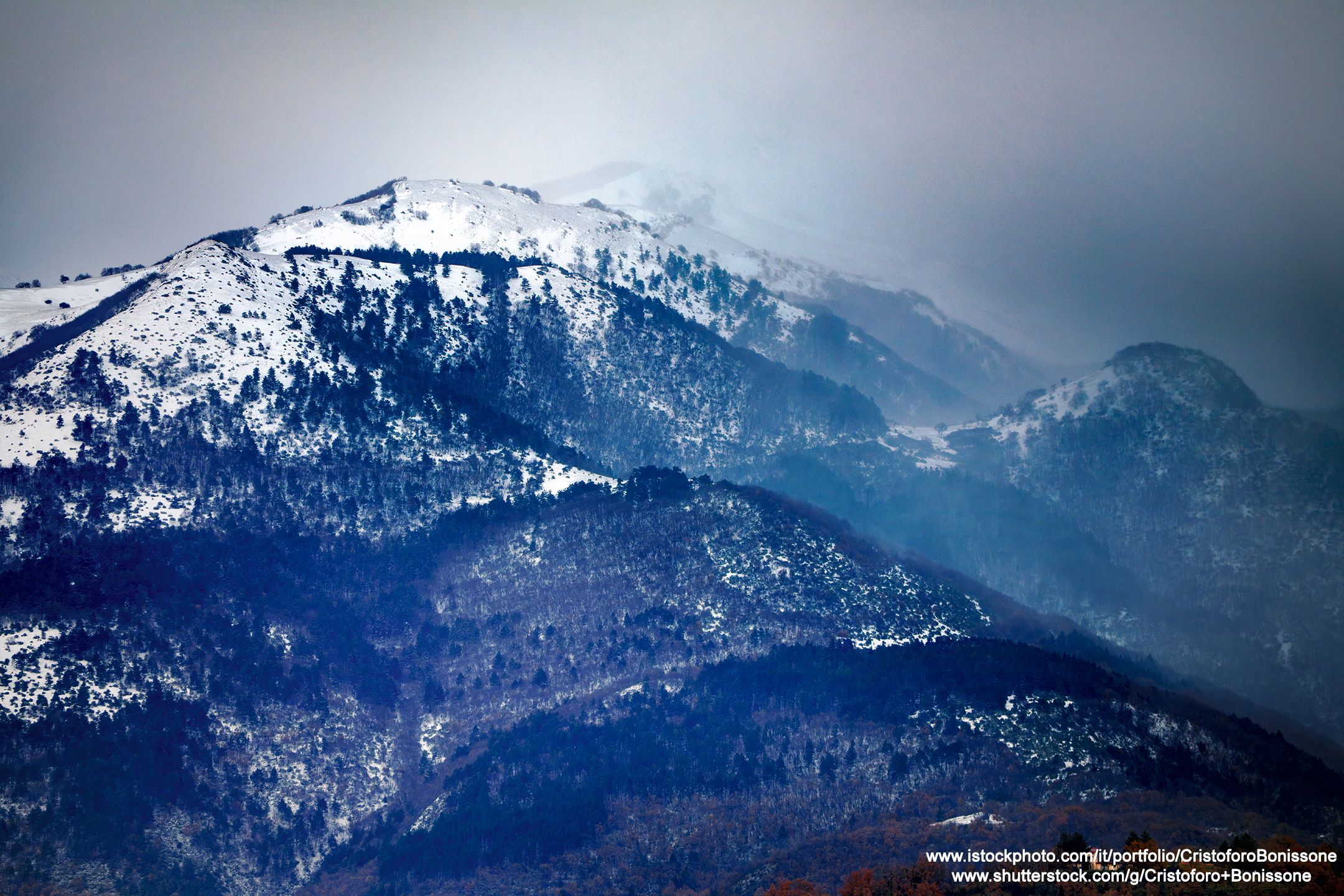 Among snow against the fog