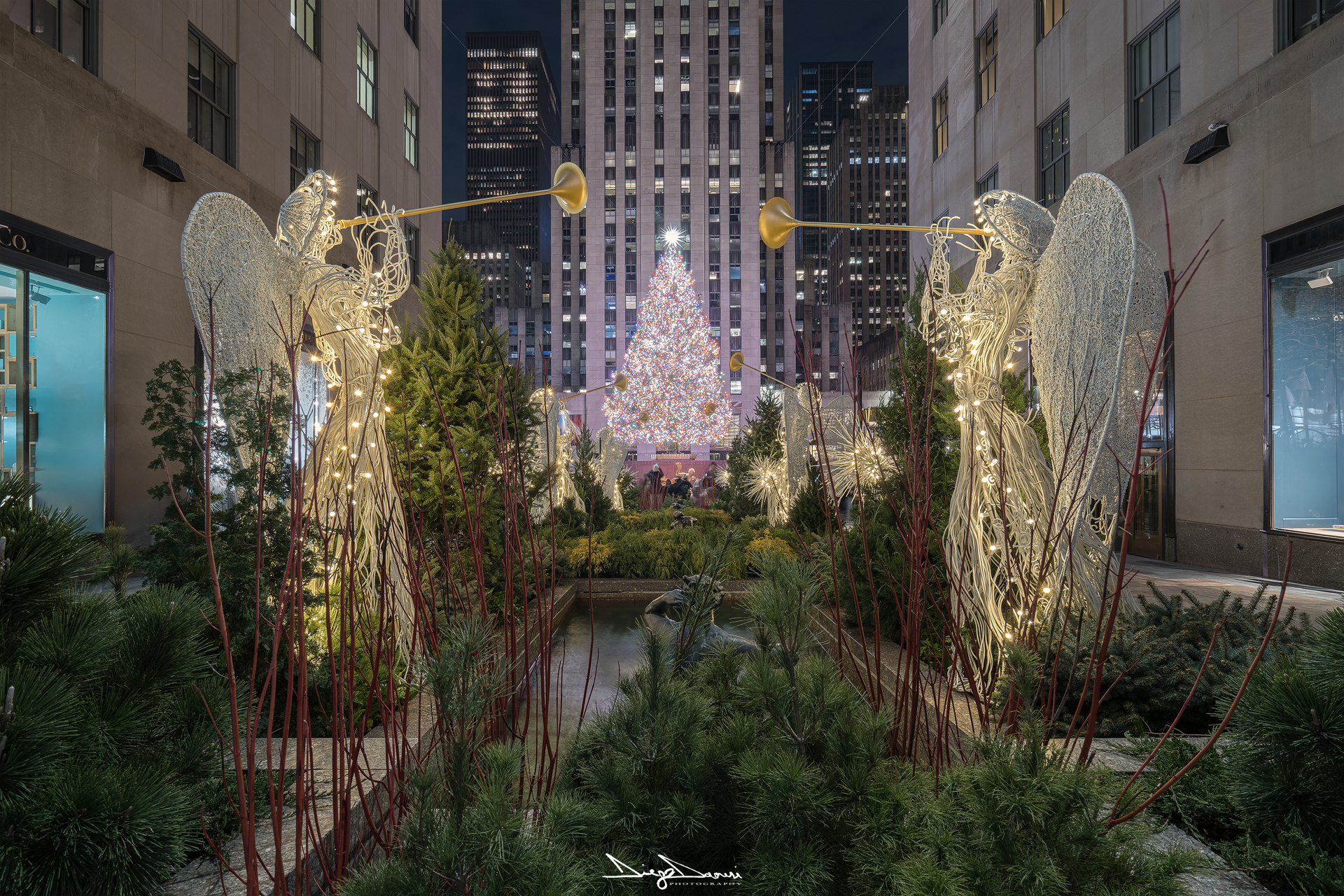 Christmas in New York