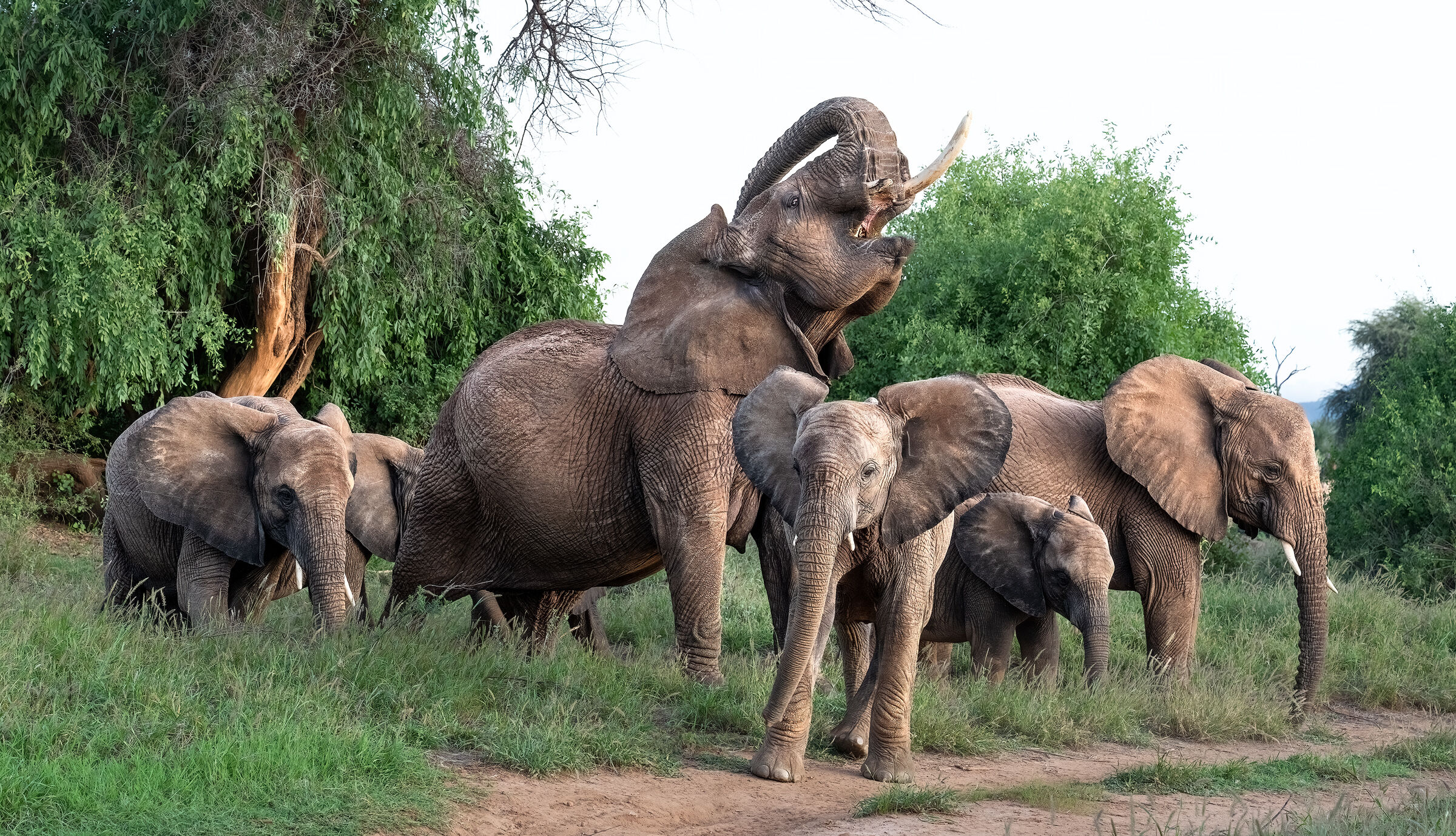 Many greetings, Kenya last day