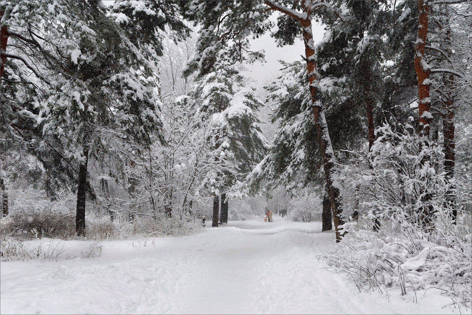 Il Parco Innevato