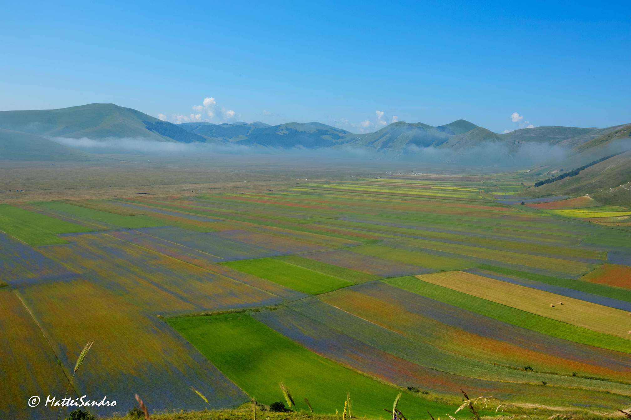 Castelluccio 2013