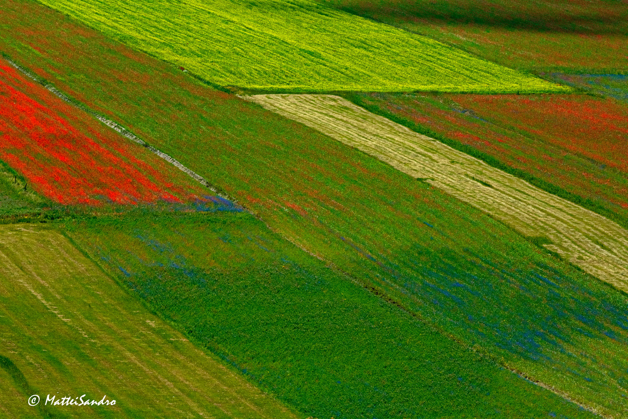 Castelluccio 2013