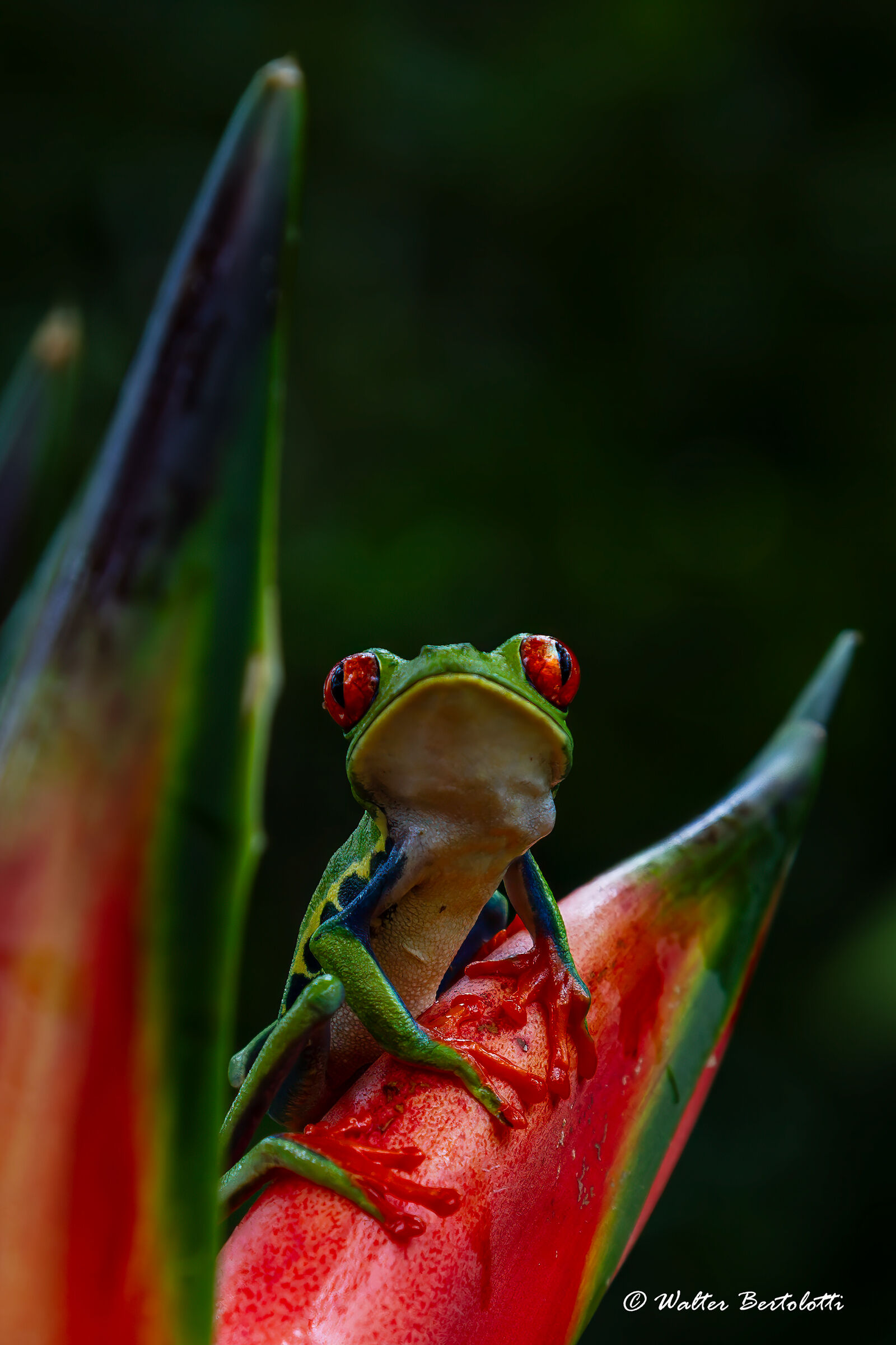 solo per i tuoi occhi