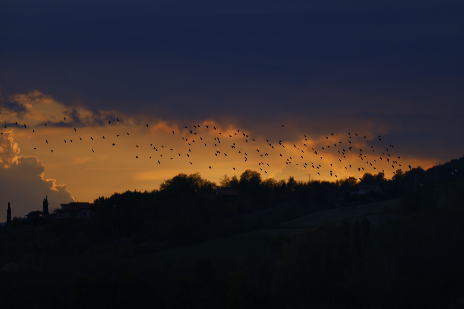 Storni nel tramonto