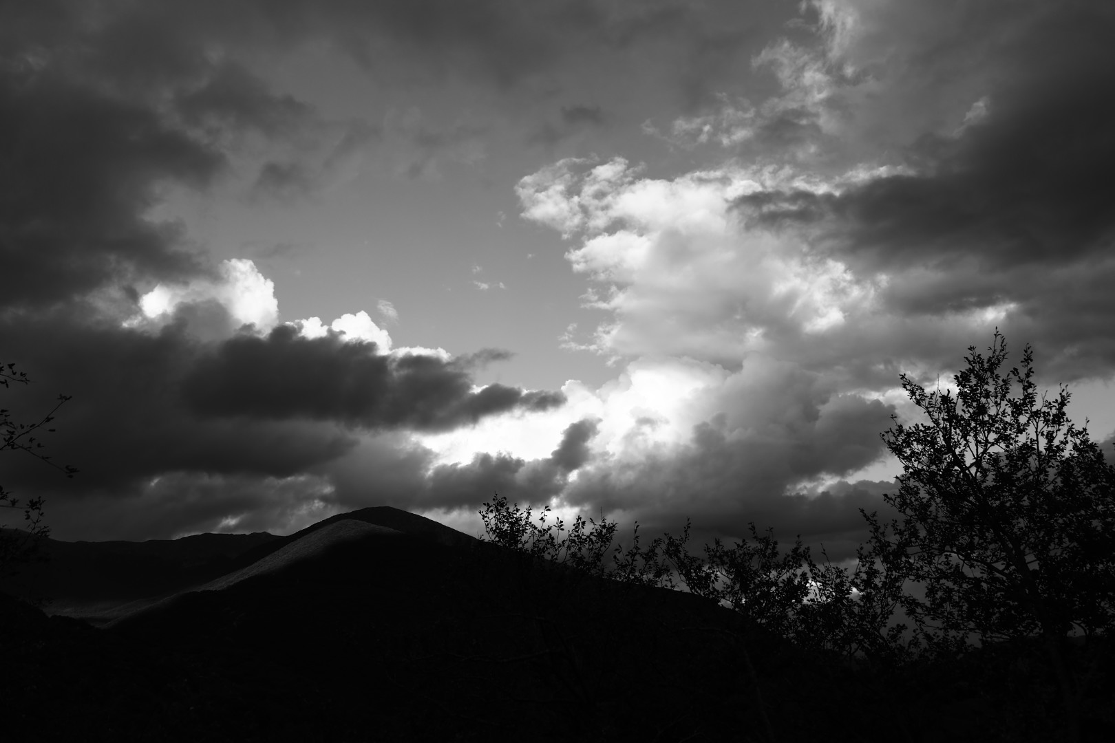 Untitled Photo