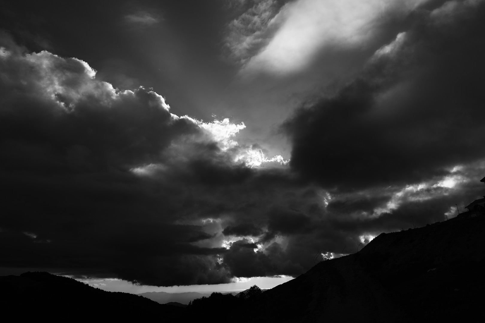Untitled Photo