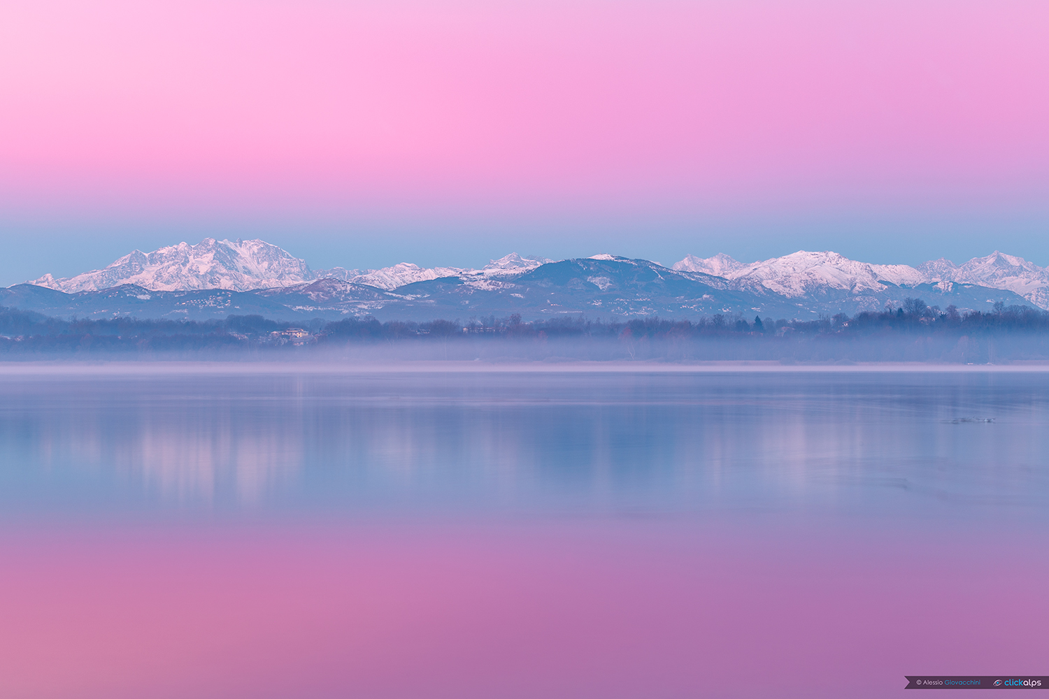 Pink Dawn