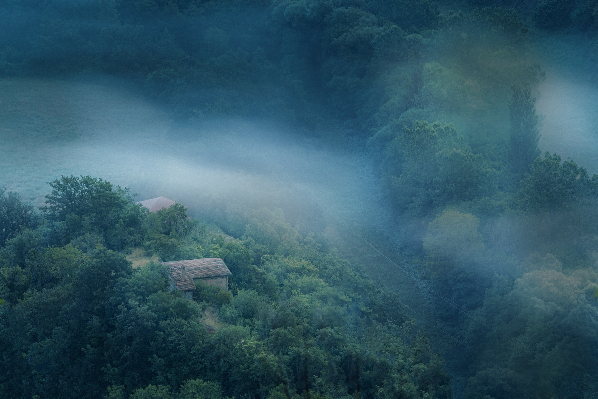The Abandoned House