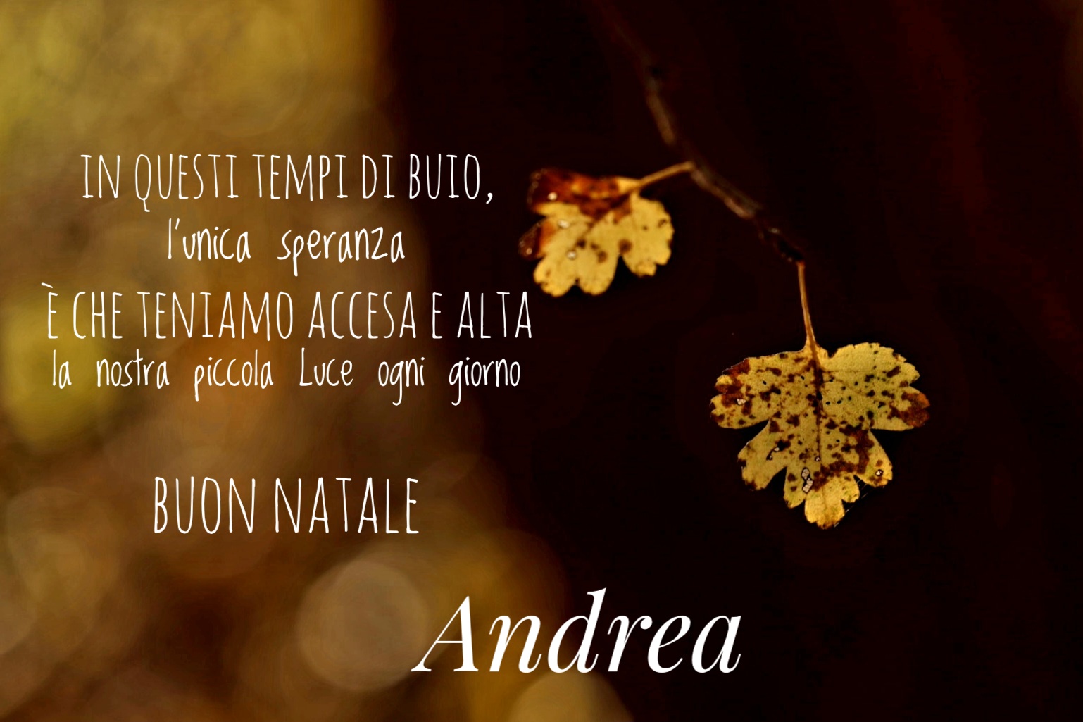 auguri Natale 2025