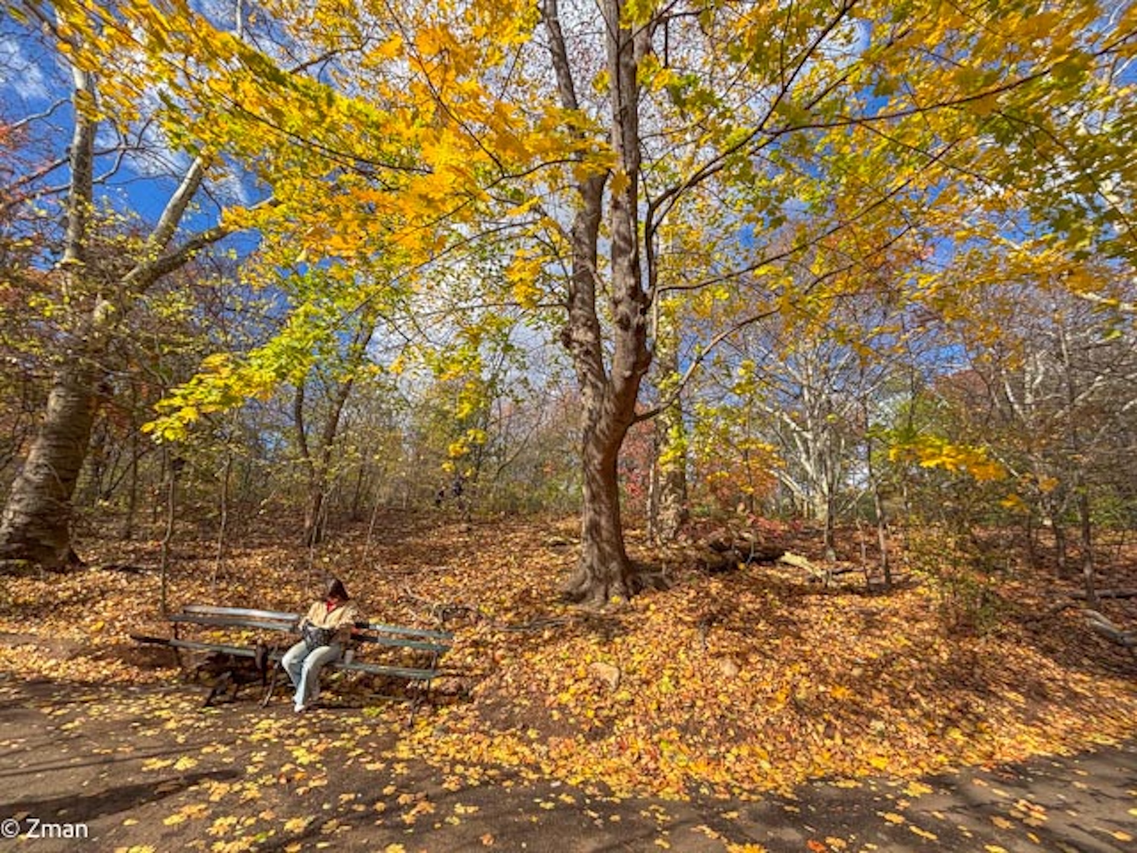 Lettore Unico nel Parco