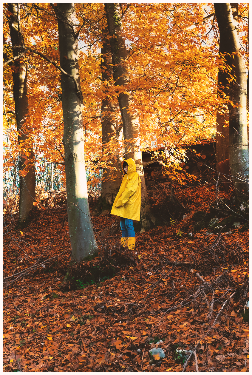 Foliage at Malga Zures, Monte Baldo