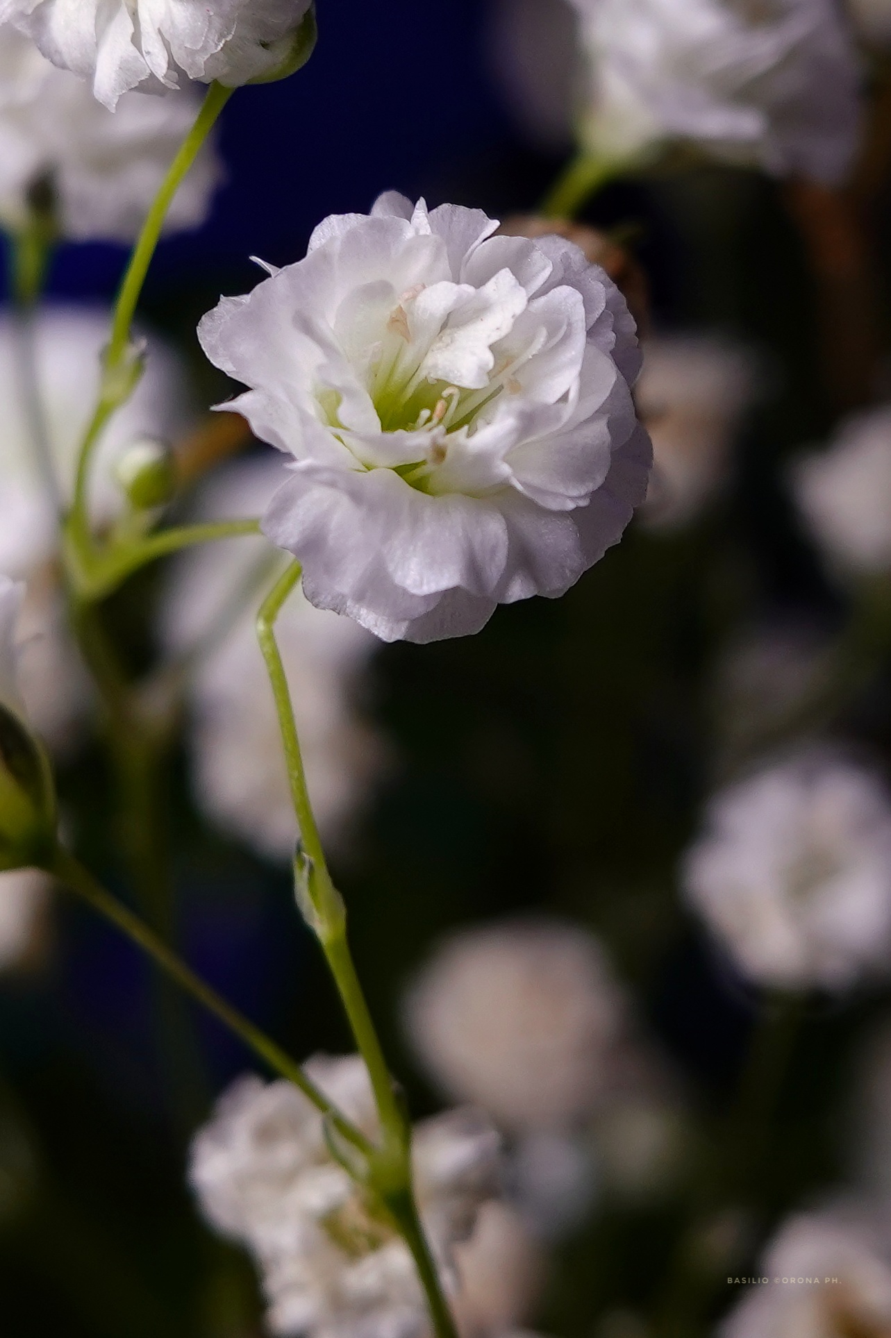 La bellezza dove non te la aspetti