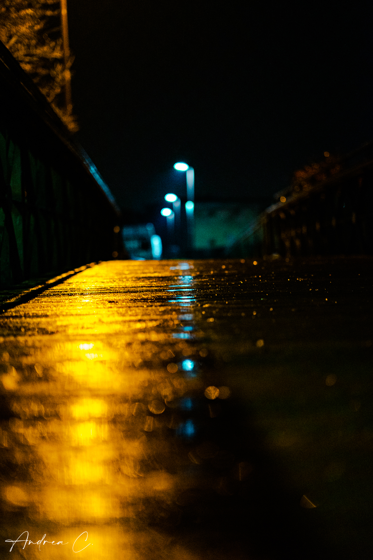 Walking in the rain