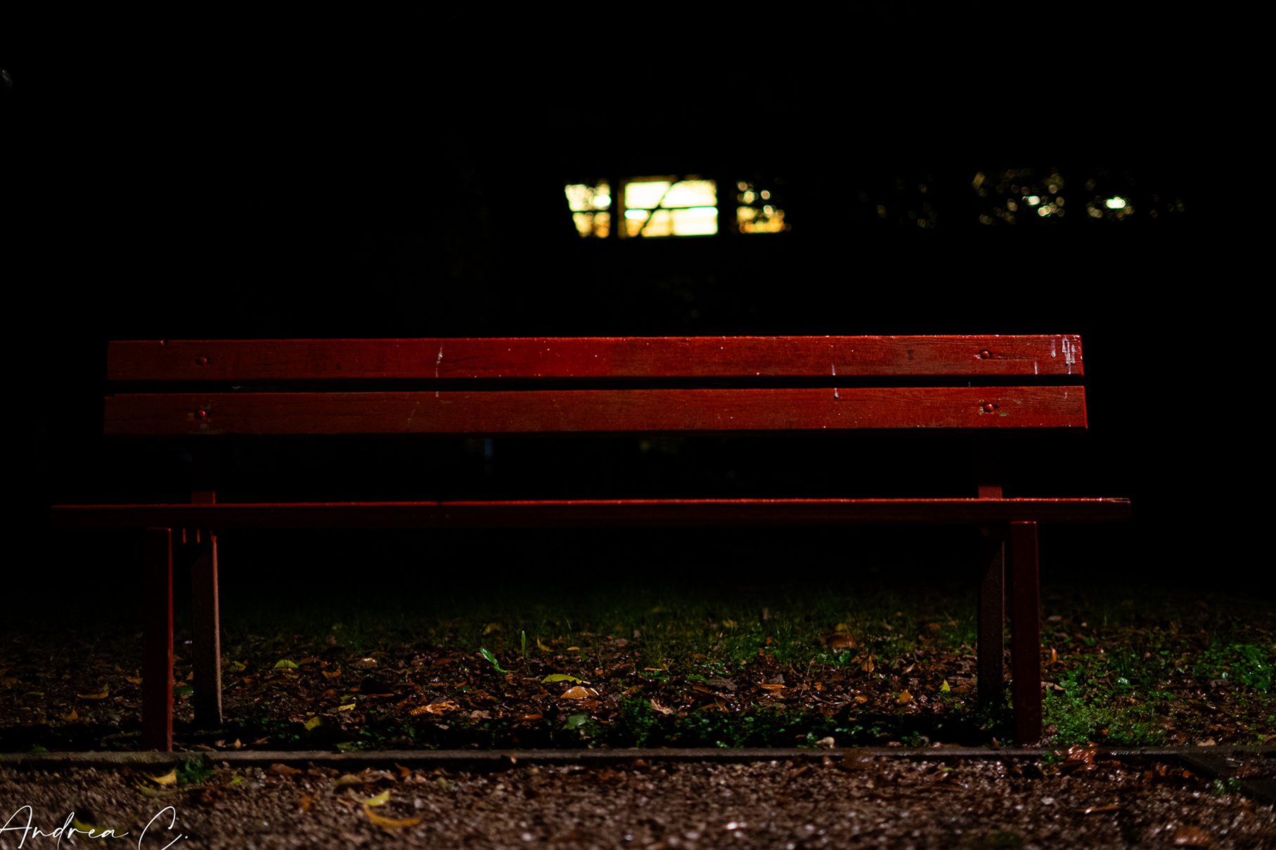The Red Bench