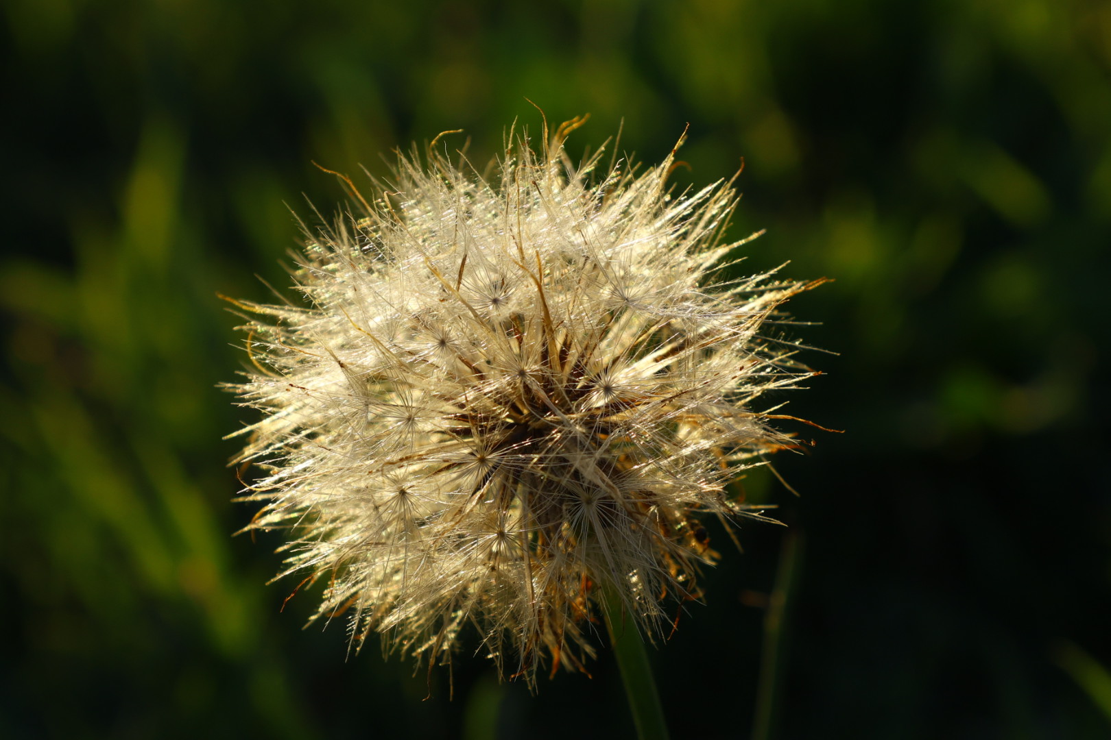 Untitled Photo