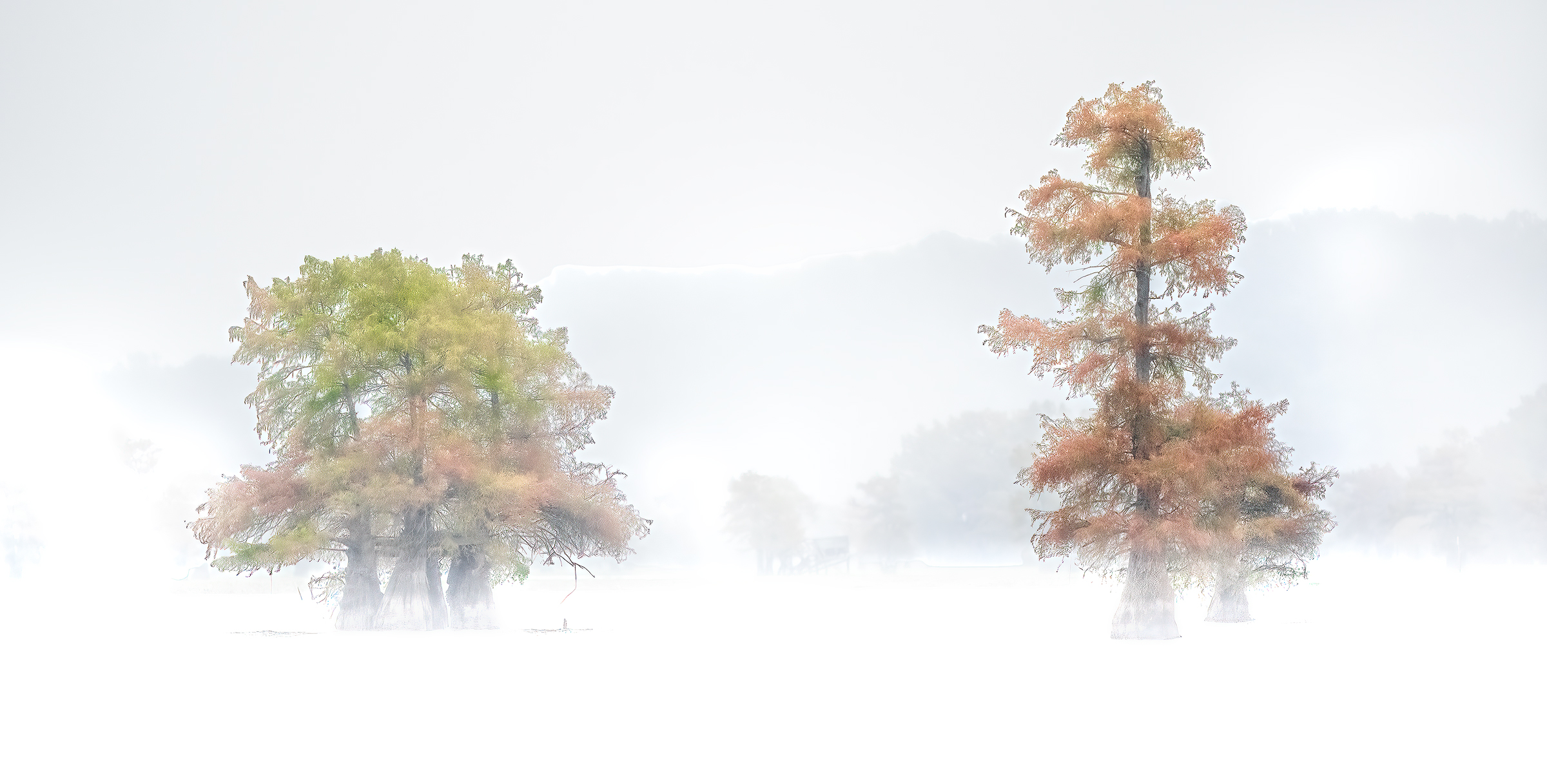 Mists