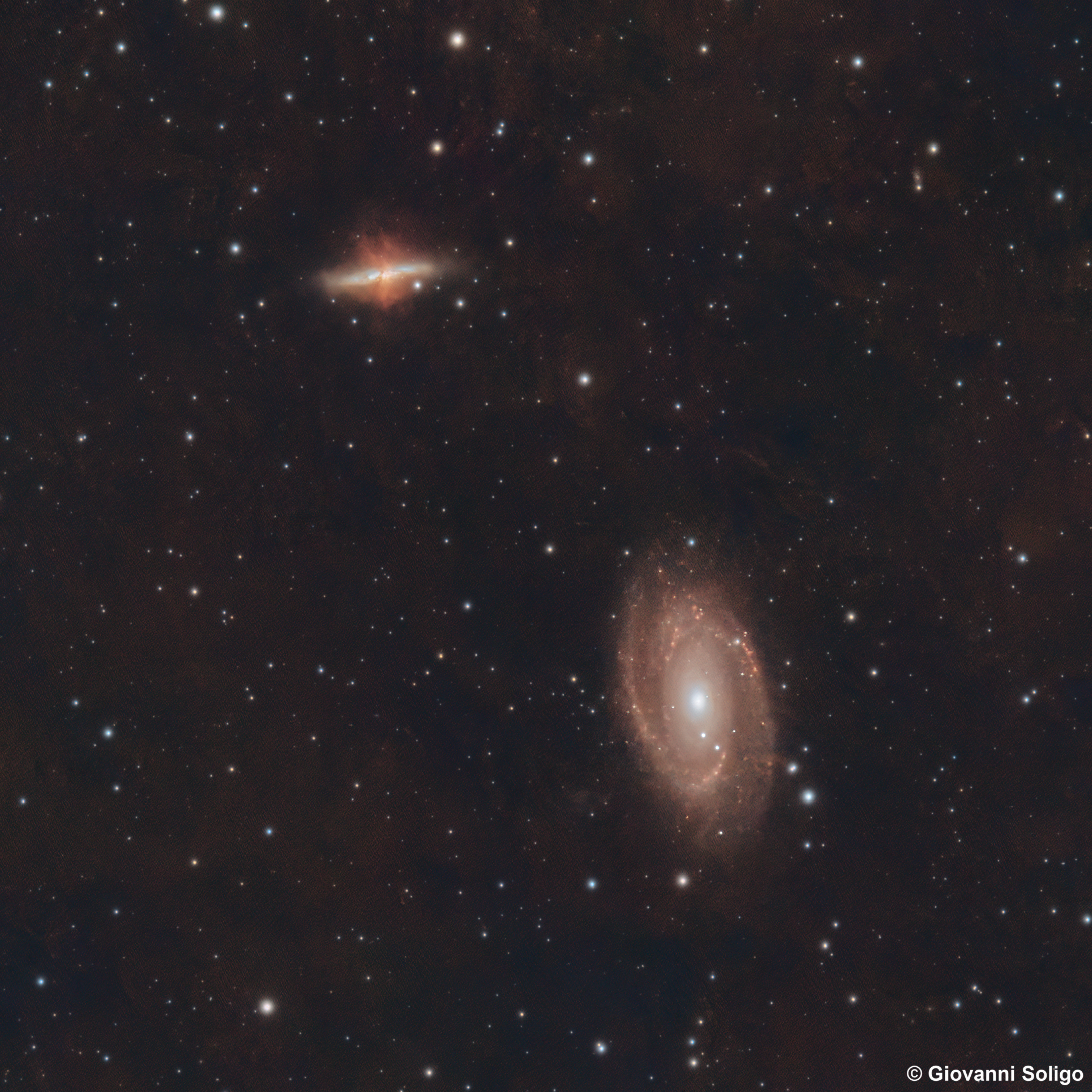 Galassie M81 e M82