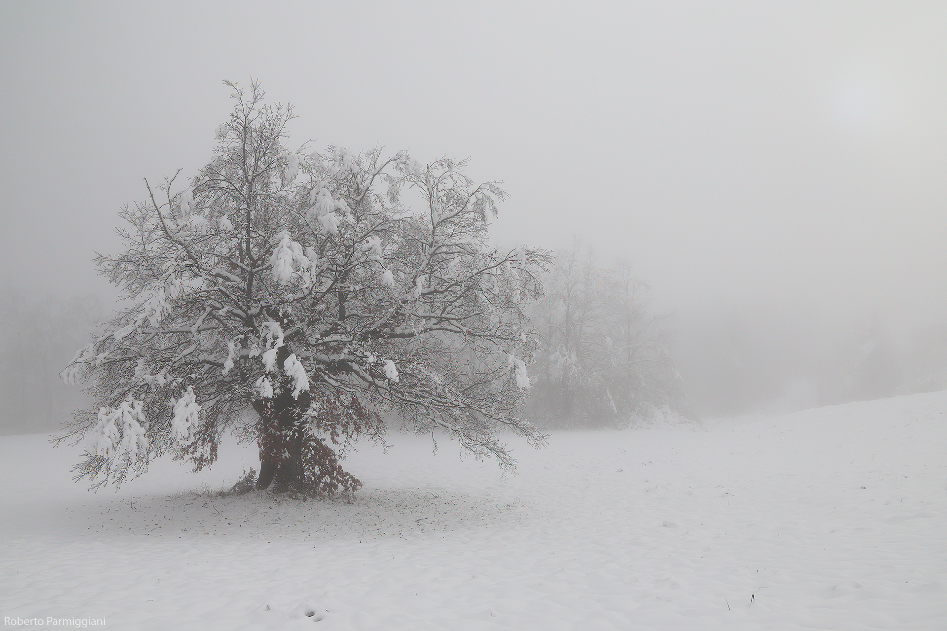 Frozen land